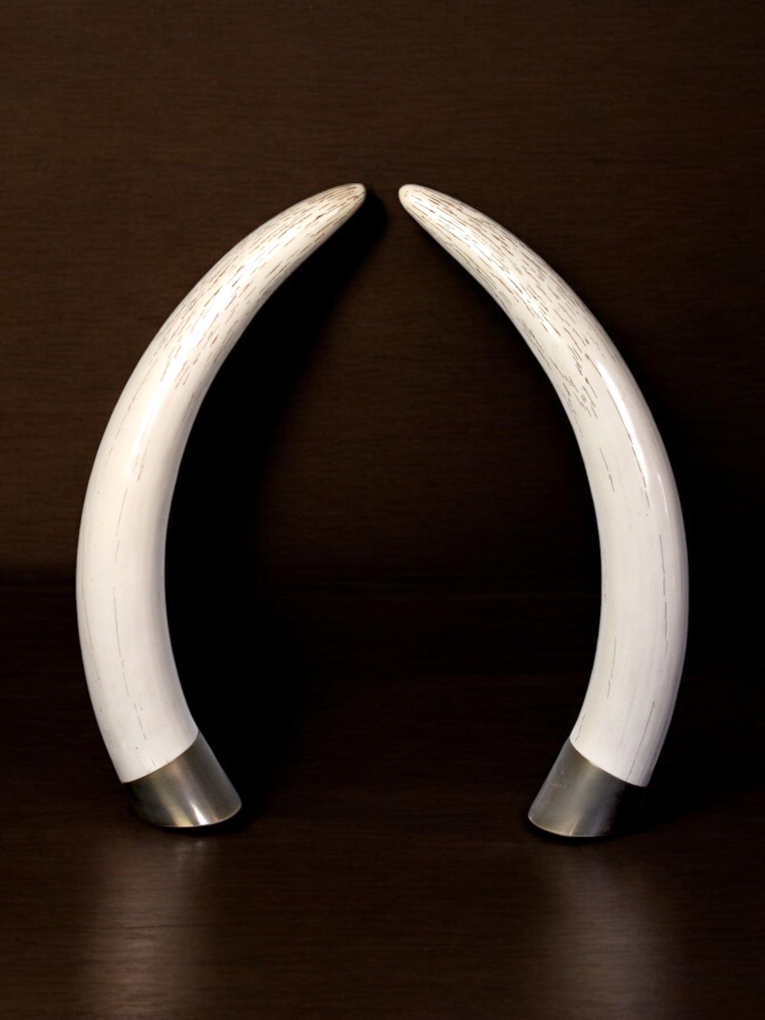 Faux Tusks by Maison Valenti , 1970s, Set of 2