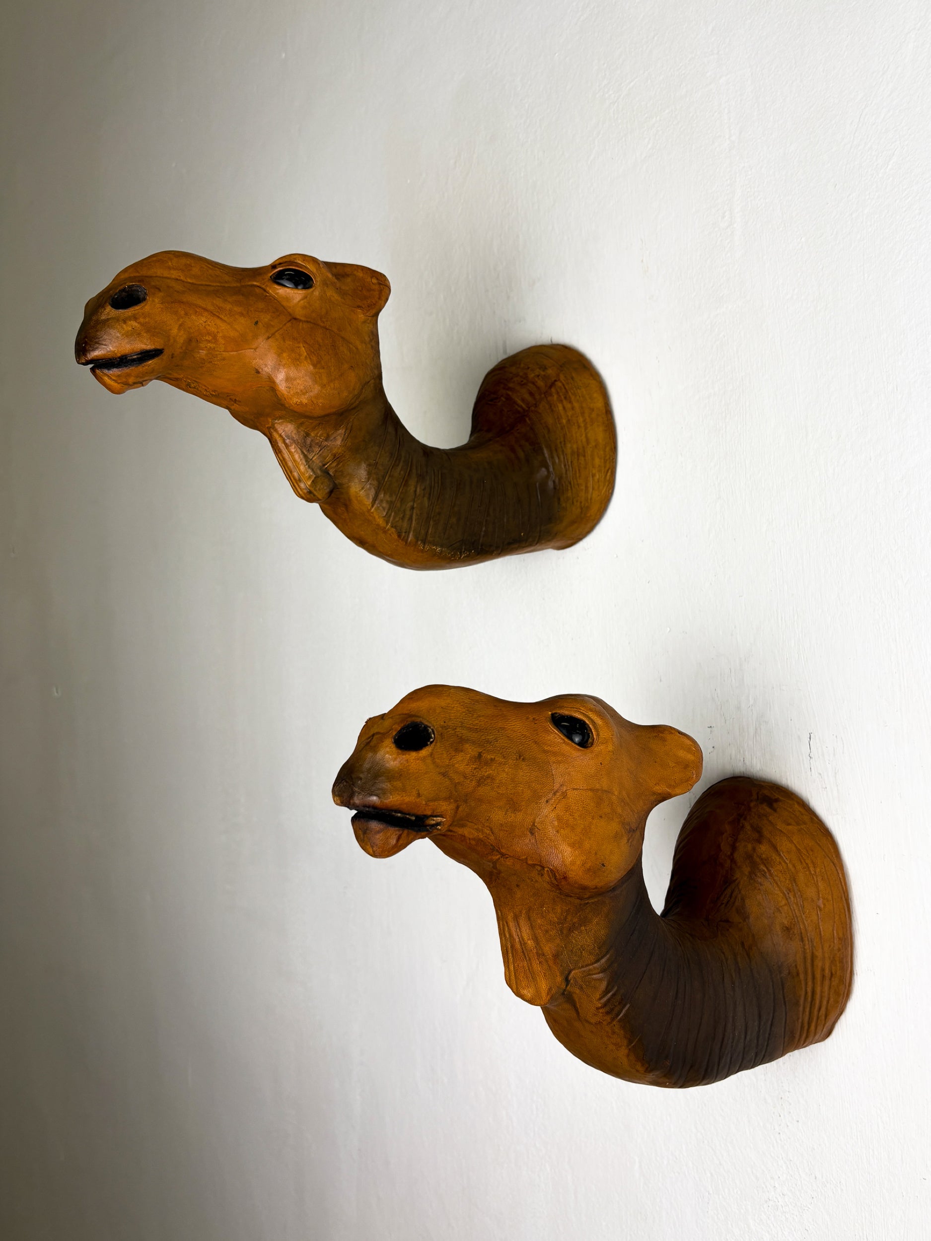 Pair of Leather Camel Head Coat Hooks, Italy, 1960s