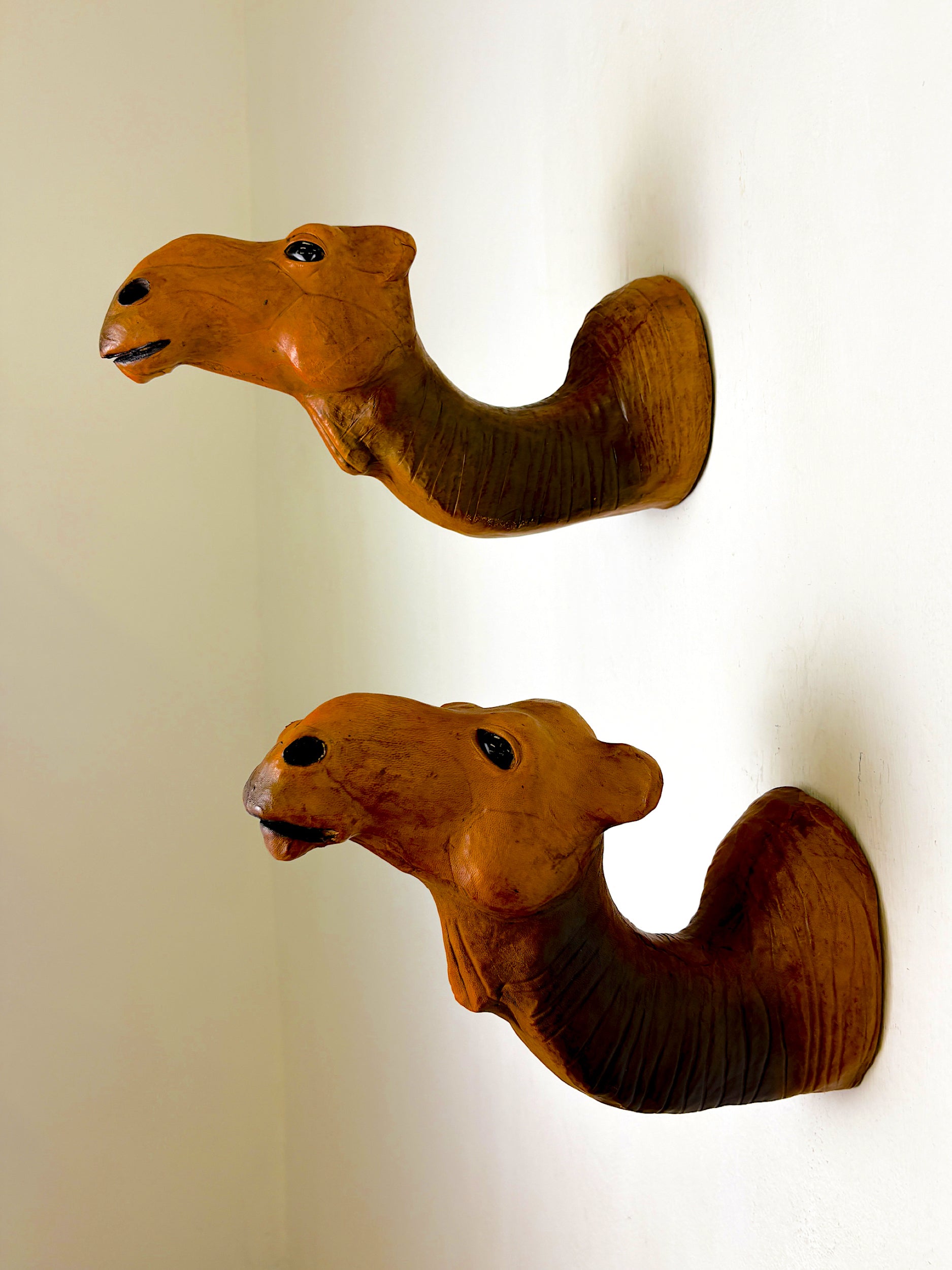 Pair of Leather Camel Head Coat Hooks, Italy, 1960s