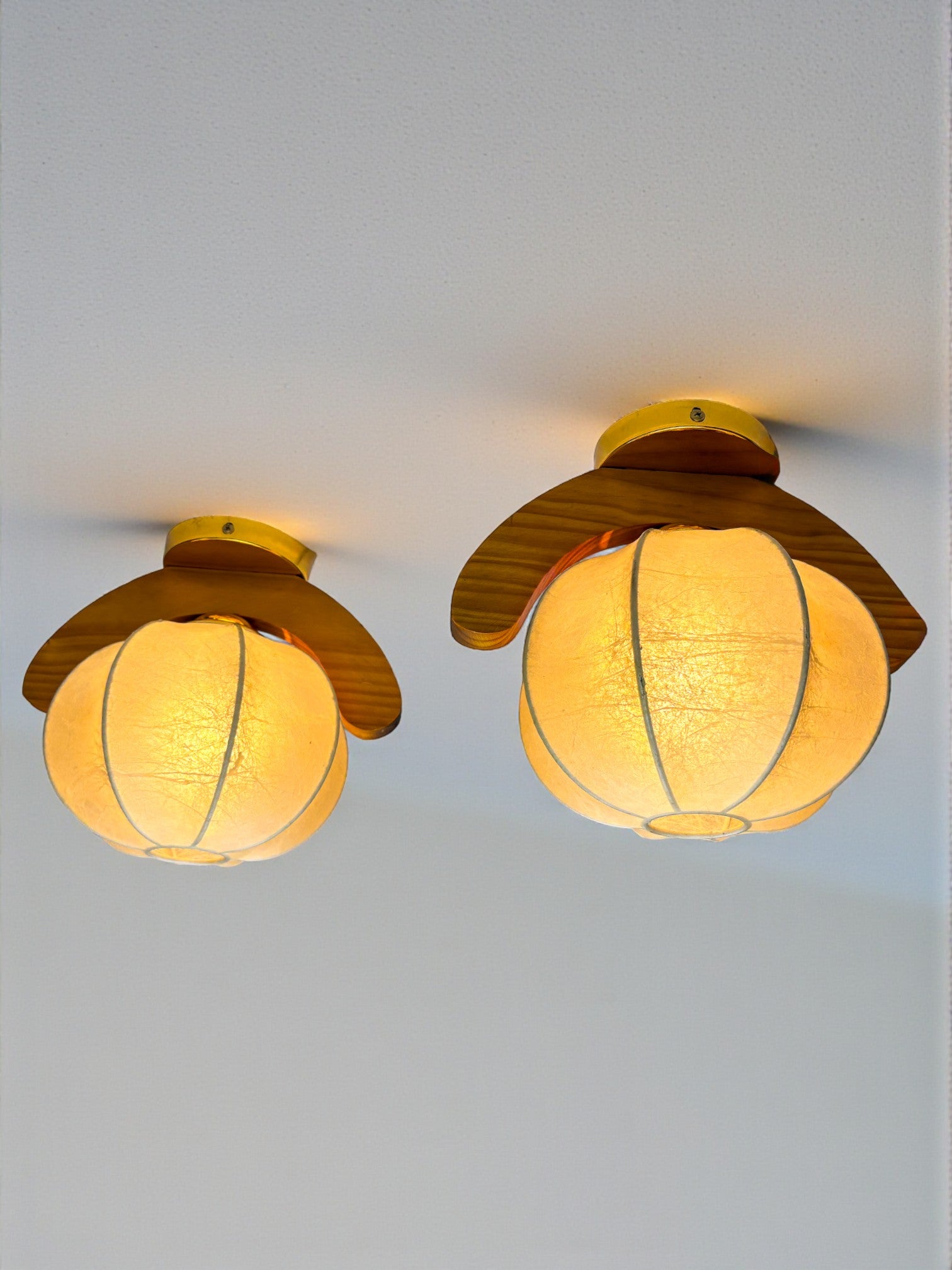 Pair of 1960s Cocoon Ceiling Lights or Sconces, Resin & Pine Wood, Italy