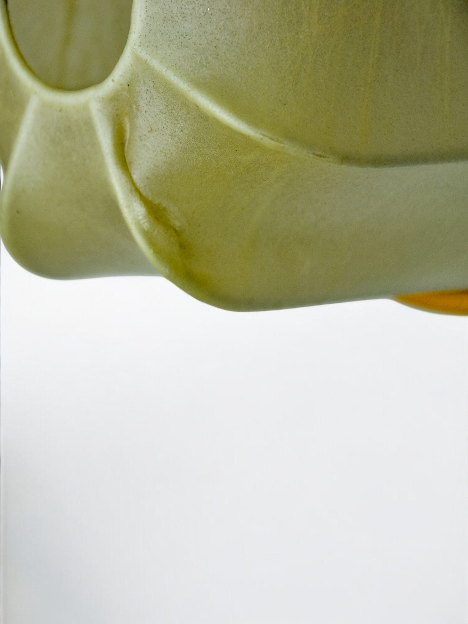 Pair of "cocoon" wall lights, resin and pine, Italy, 1970