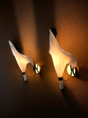 Pair of calla lily sconces, murano glass, Italy, 1970
