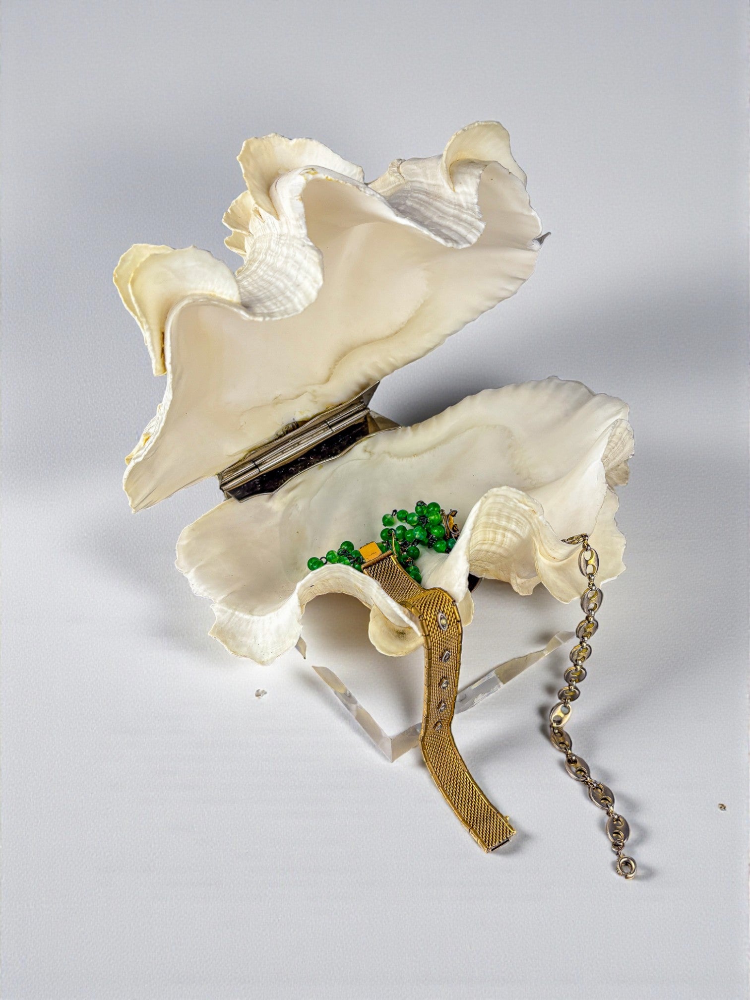 Large Tridacna Shell and lucite base vanity box, Spain, 1980's