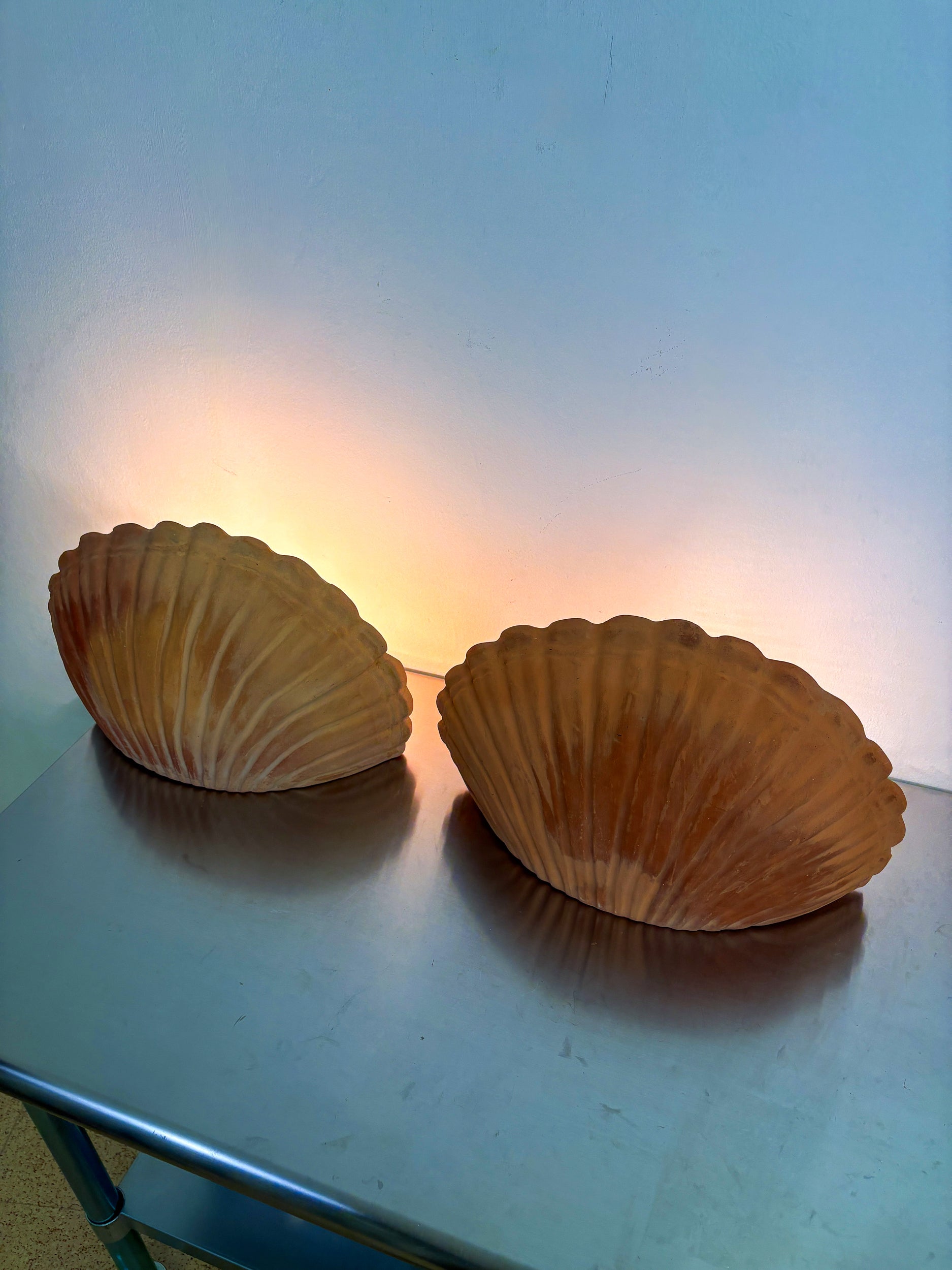 Pair of vintage italian Shell Wall sconces, large terracota sculptures, Circa 1980's