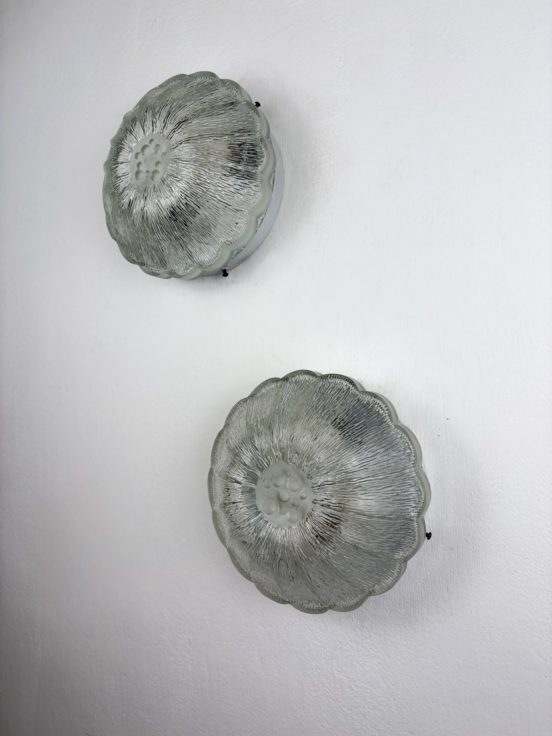Pair of "Daisy Flower" Wall Sconces by Limburg, frosted glass, Germany 1960s