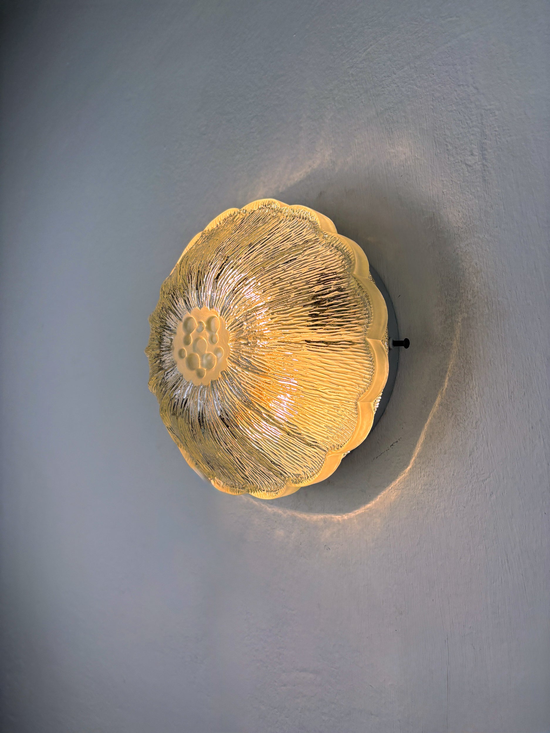 Pair of "Daisy Flower" Wall Sconces by Limburg, frosted glass, Germany 1960s