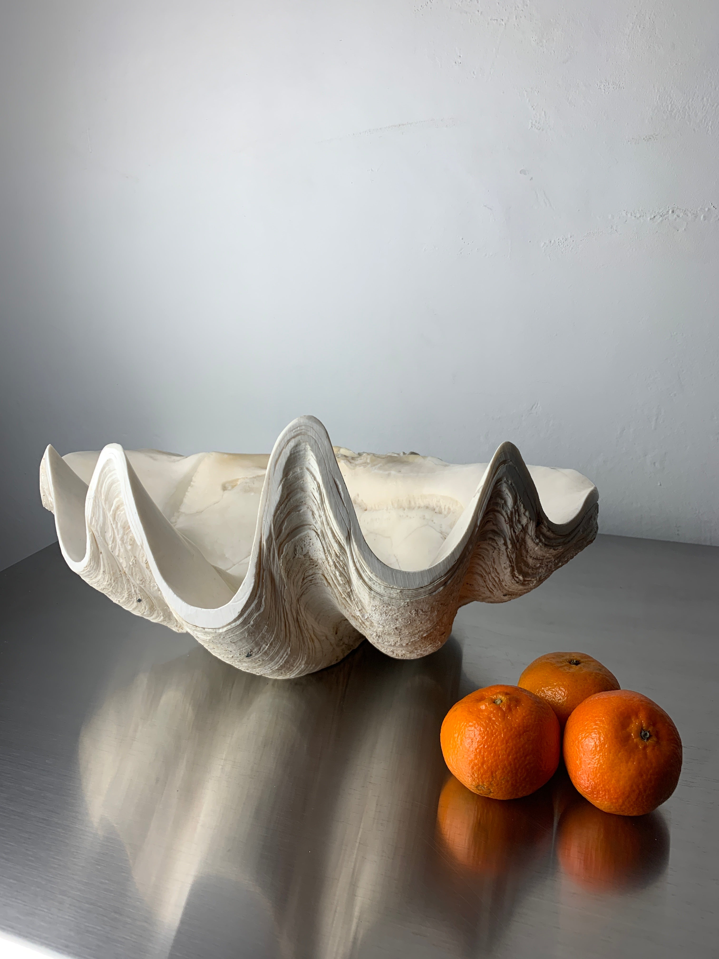 XL shell vide-poche in plaster, Italy, 1970