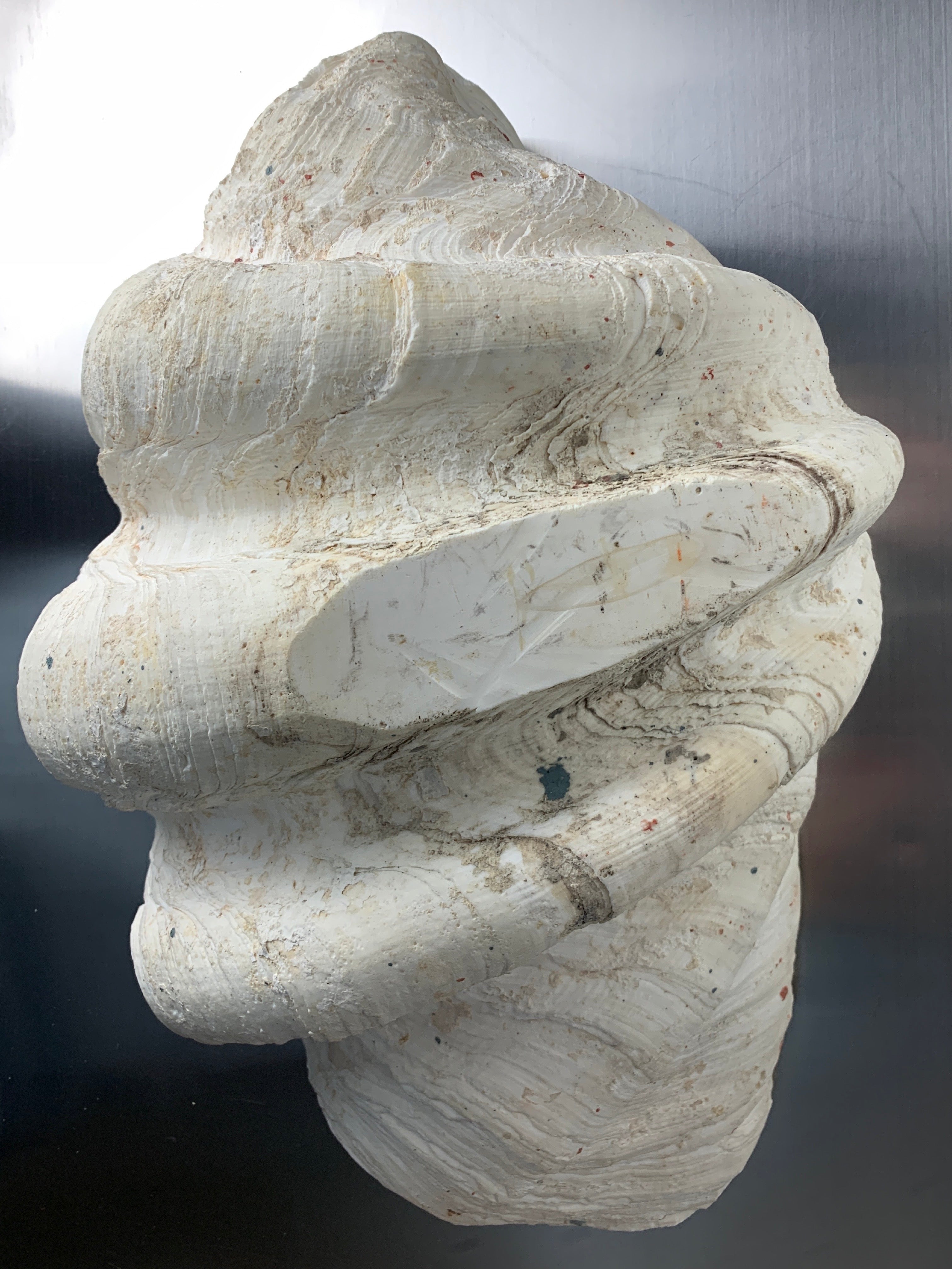 XL shell vide-poche in plaster, Italy, 1970