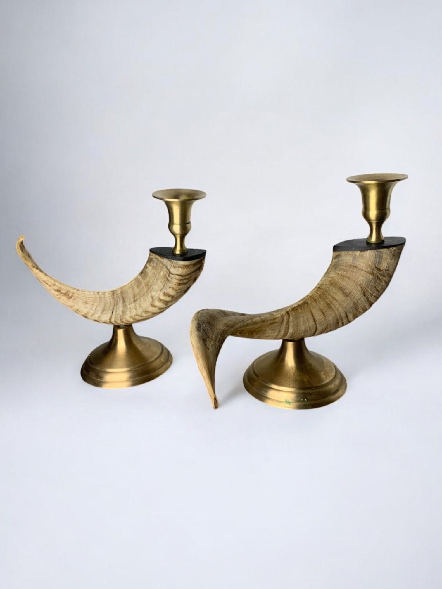 Pair of Faux Horn Candleholders, Resin and Bronze, Italy 1980's