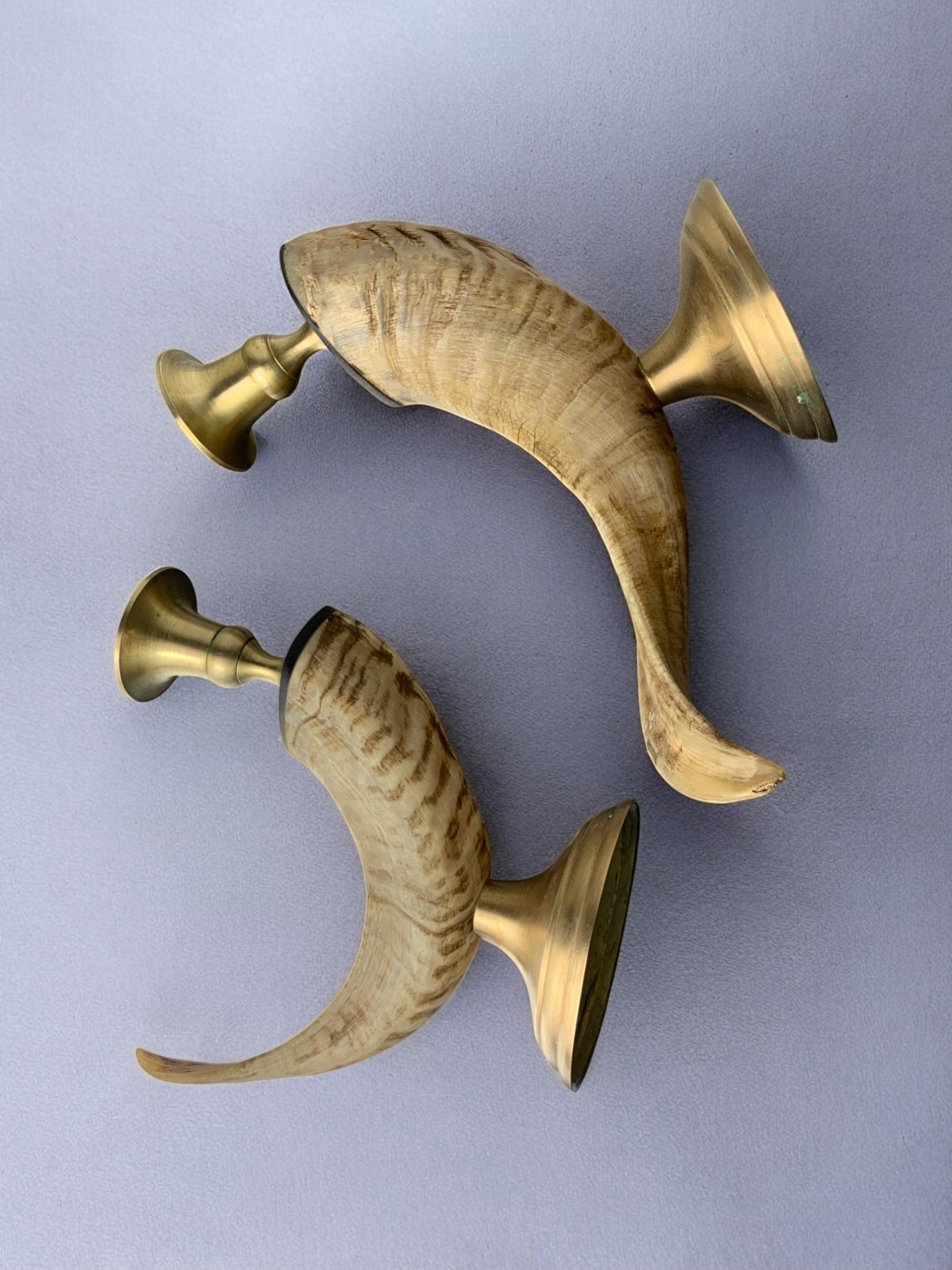 Pair of Faux Horn Candleholders, Resin and Bronze, Italy 1980's