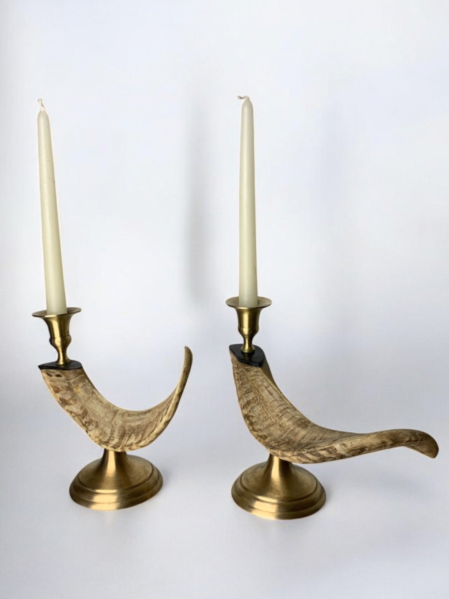 Pair of Faux Horn Candleholders, Resin and Bronze, Italy 1980's