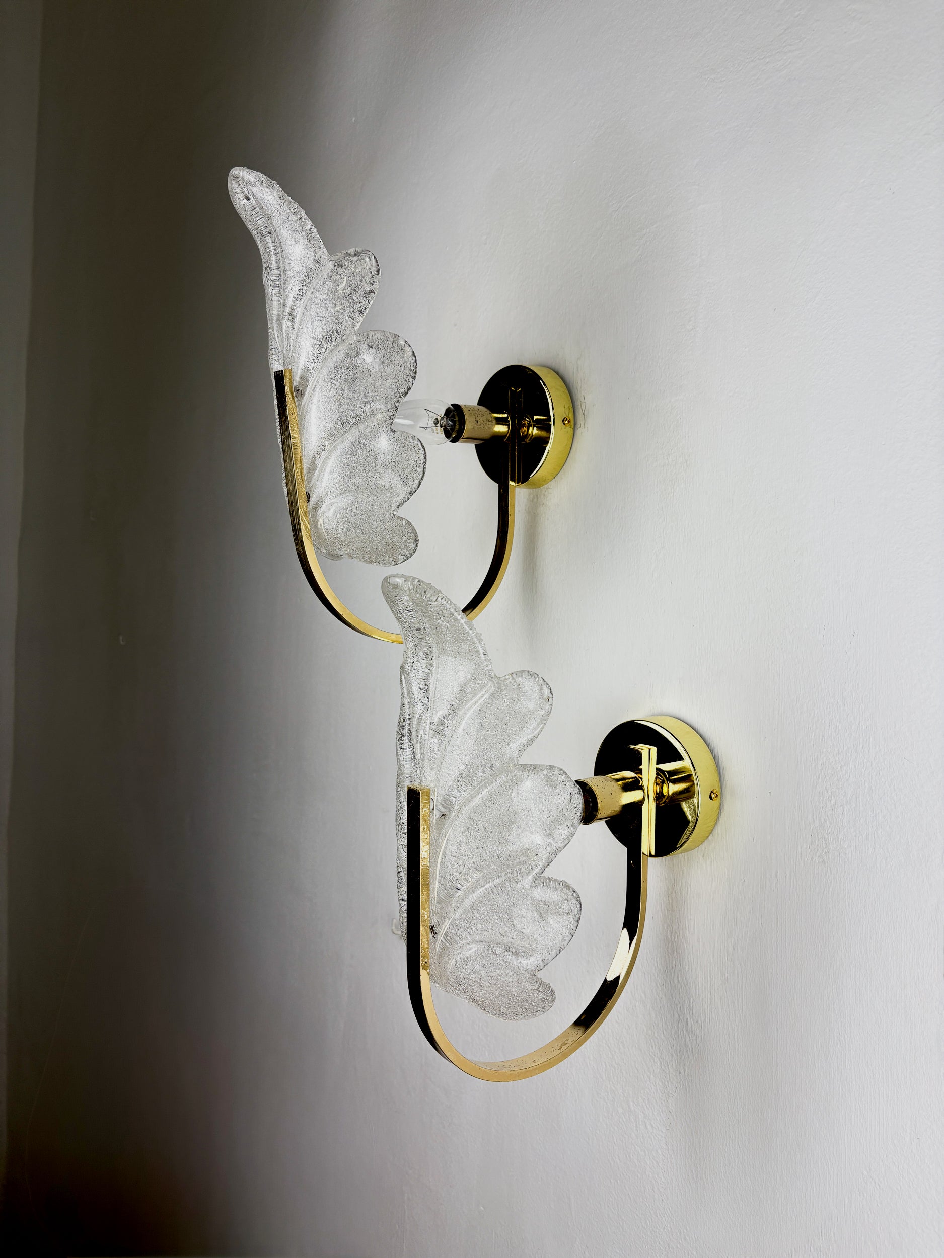 Pair of Murano Frosted Leaf Sconces, Textured Glass & Gilt Brass, Italy, 1970