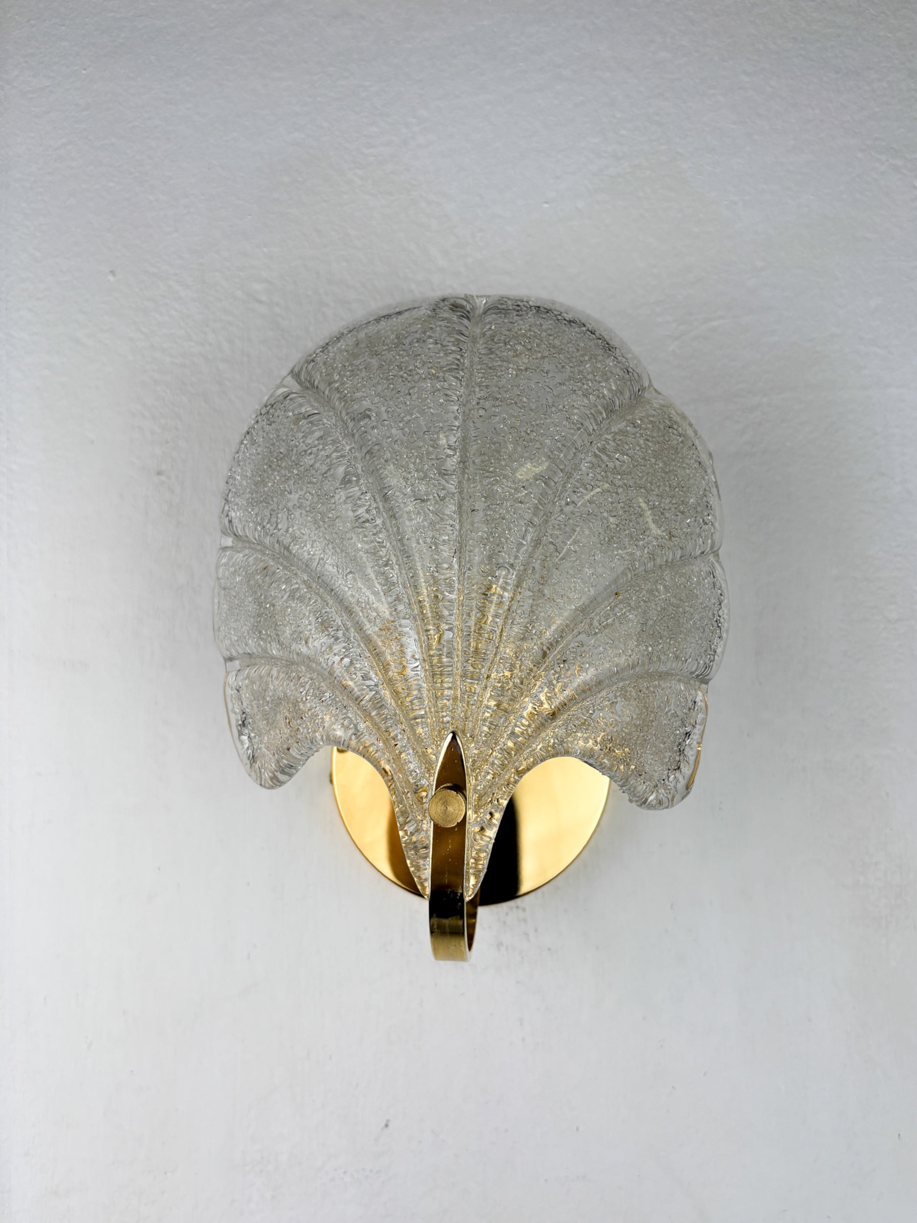 Shell Wall Light, Frosted Murano Glass, Italy, 1980s