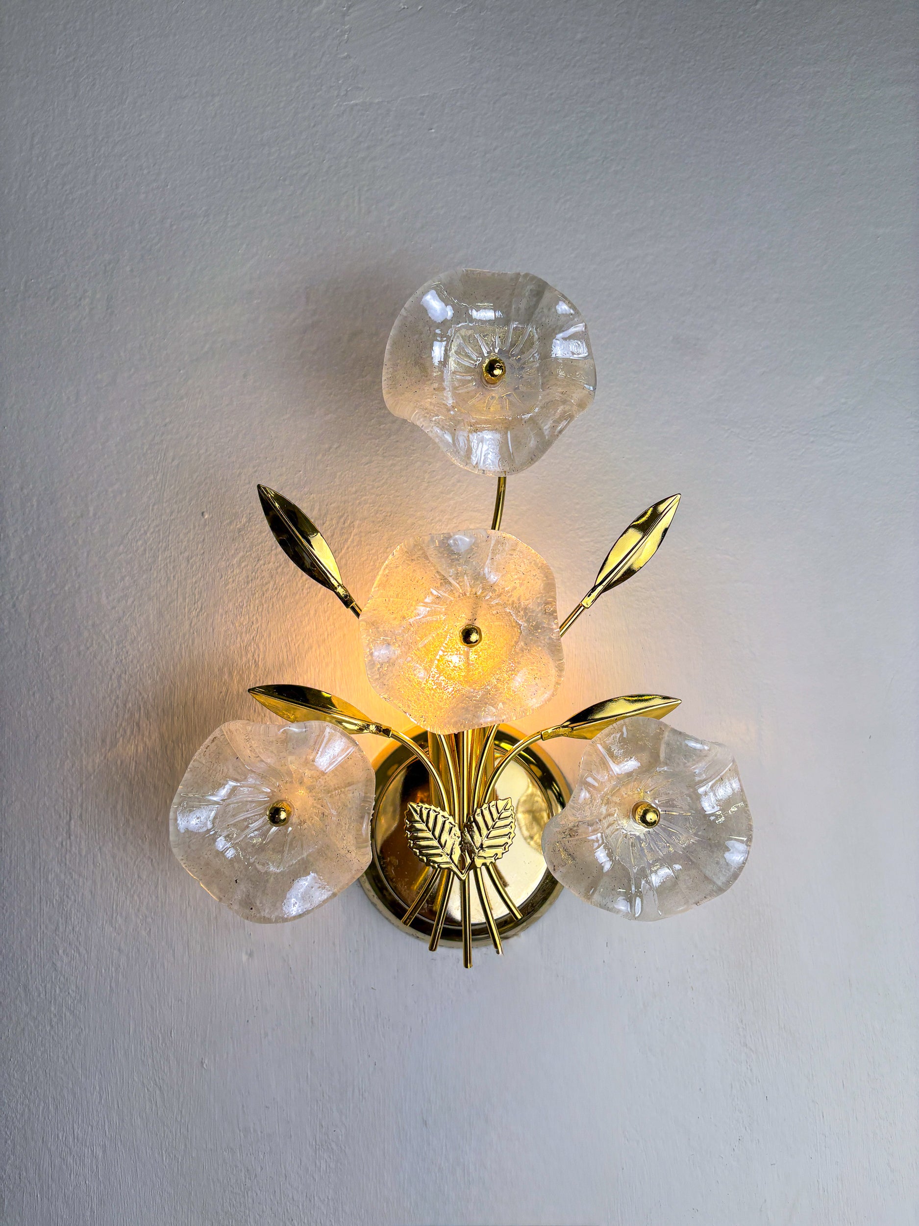 Pair of Hibiscus floral Sconces, Frosted Murano Glass, Italy, 1970s