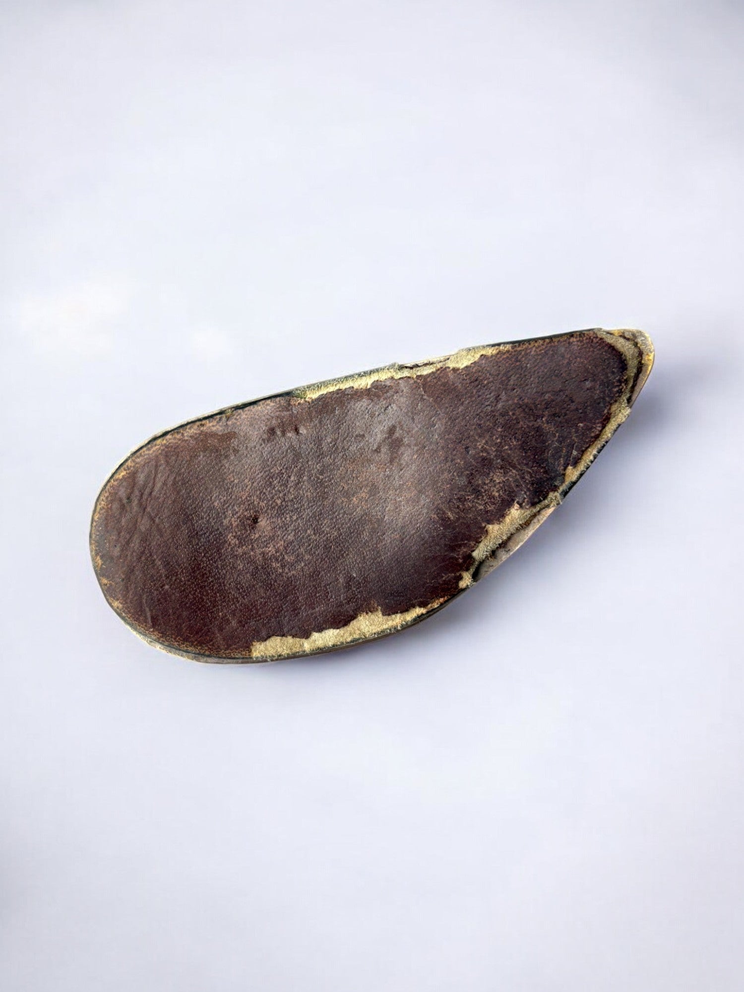 Mussel Shell paper clip in brass, Italy, 1970's