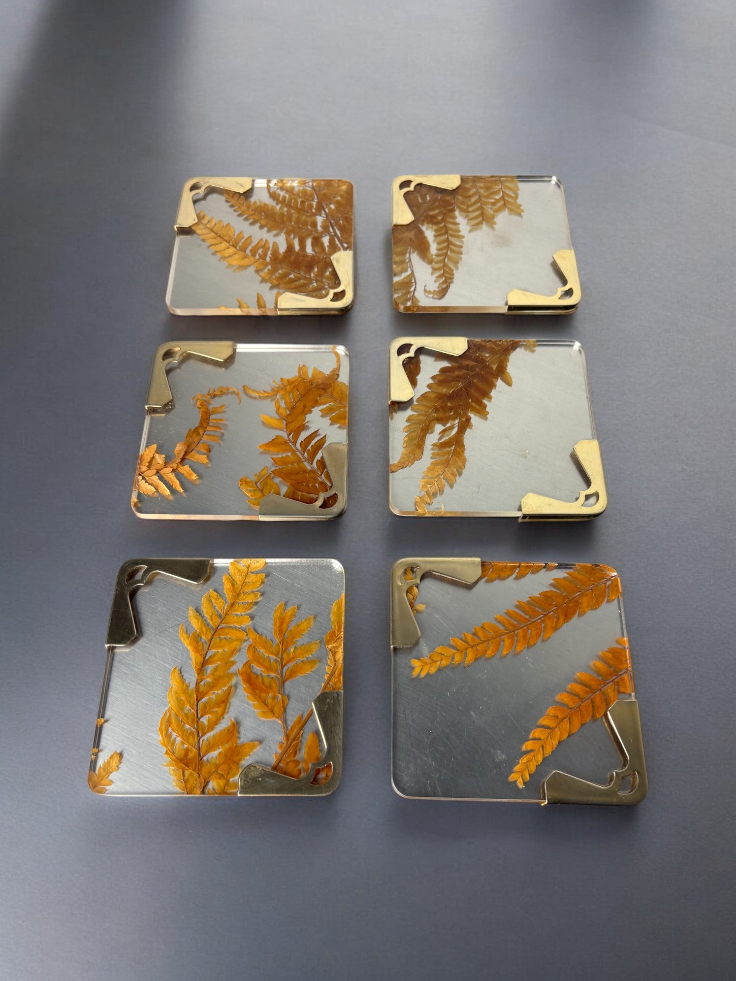 Aldo Tura Style Coasters in lucite with dry leaves, set of 6, Italy, Circa 1970's