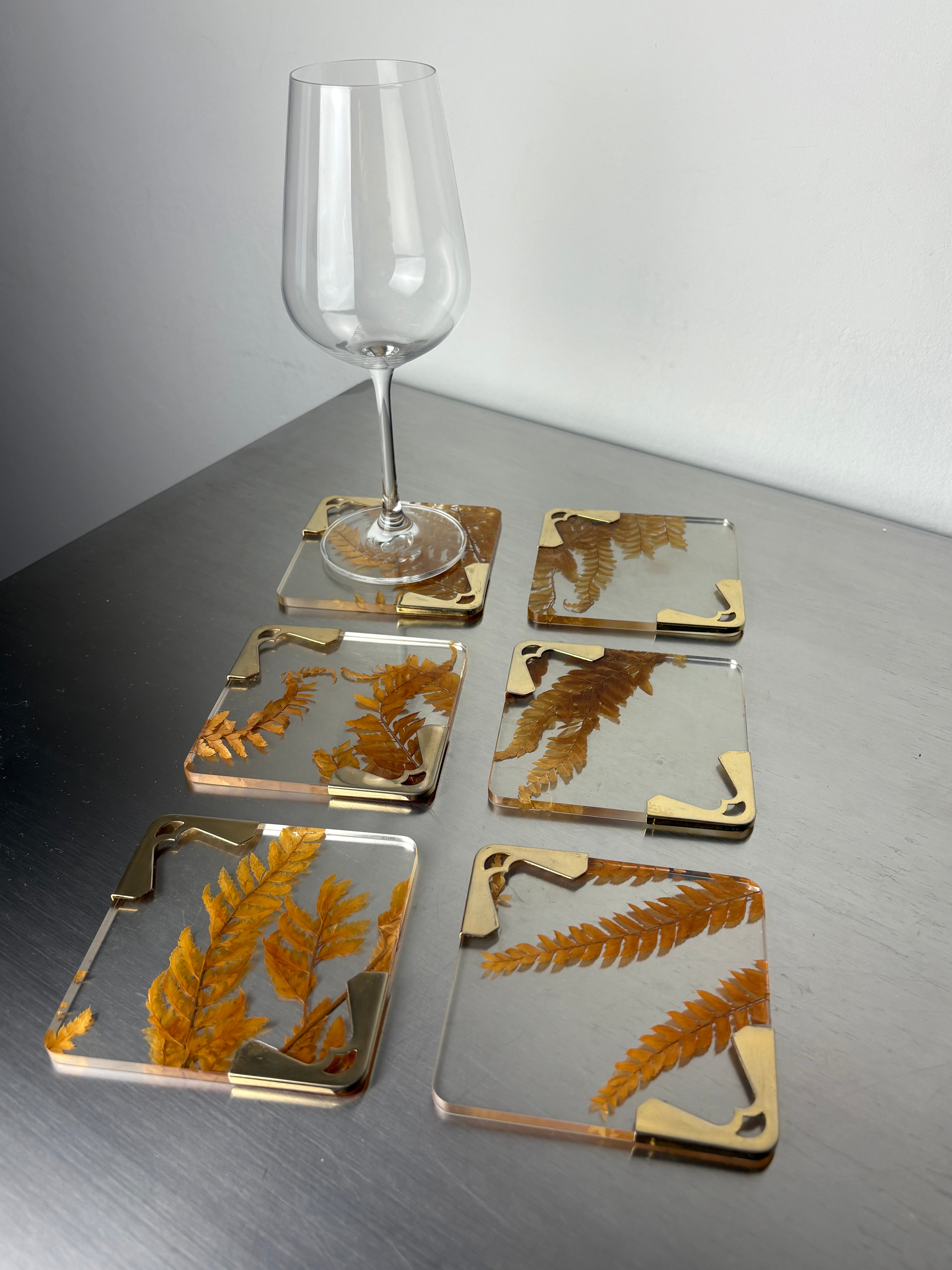 Aldo Tura Style Coasters in lucite with dry leaves, set of 6, Italy, Circa 1970's
