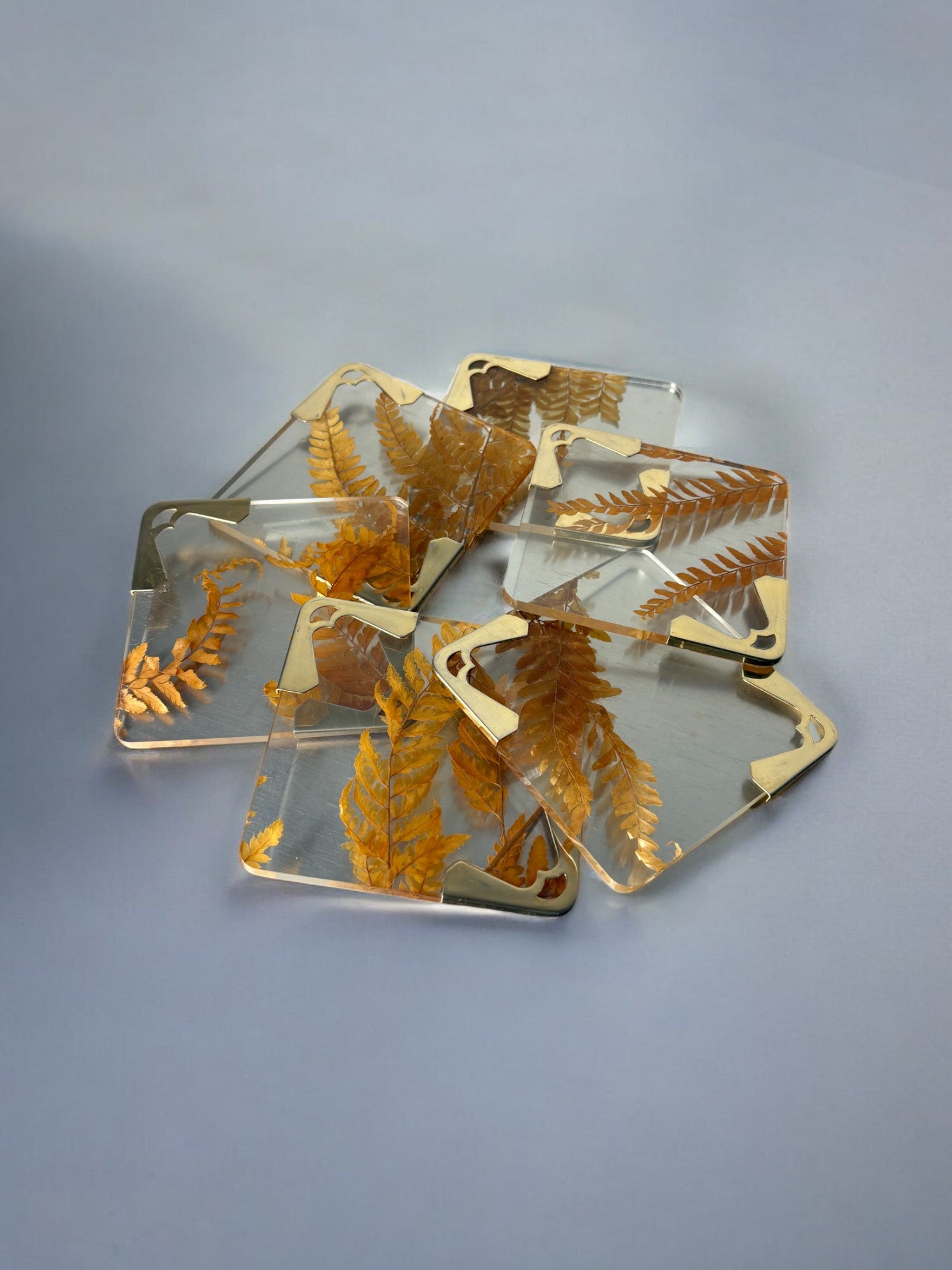 Aldo Tura Style Coasters in lucite with dry leaves, set of 6, Italy, Circa 1970's