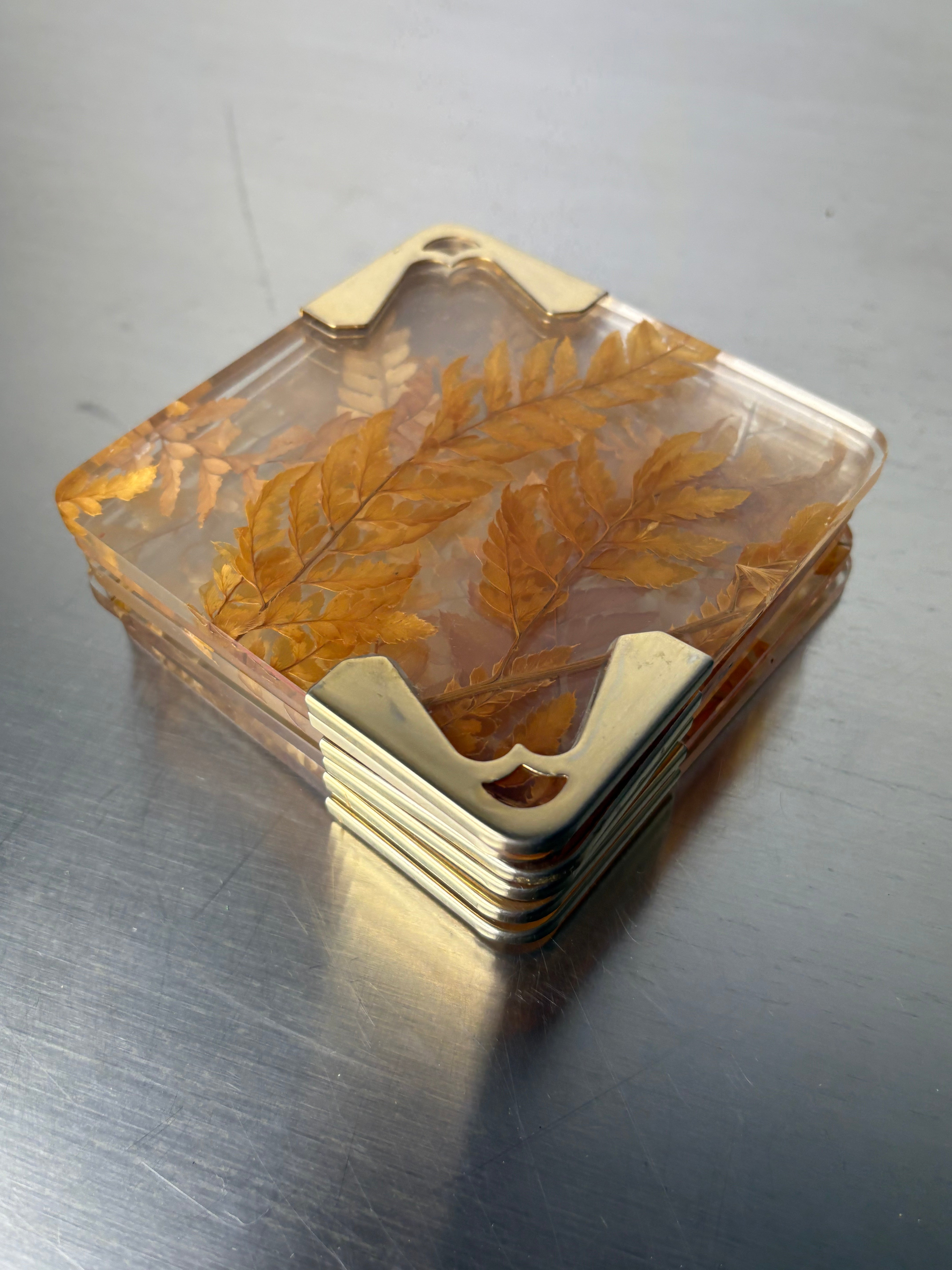 Aldo Tura Style Coasters in lucite with dry leaves, set of 6, Italy, Circa 1970's