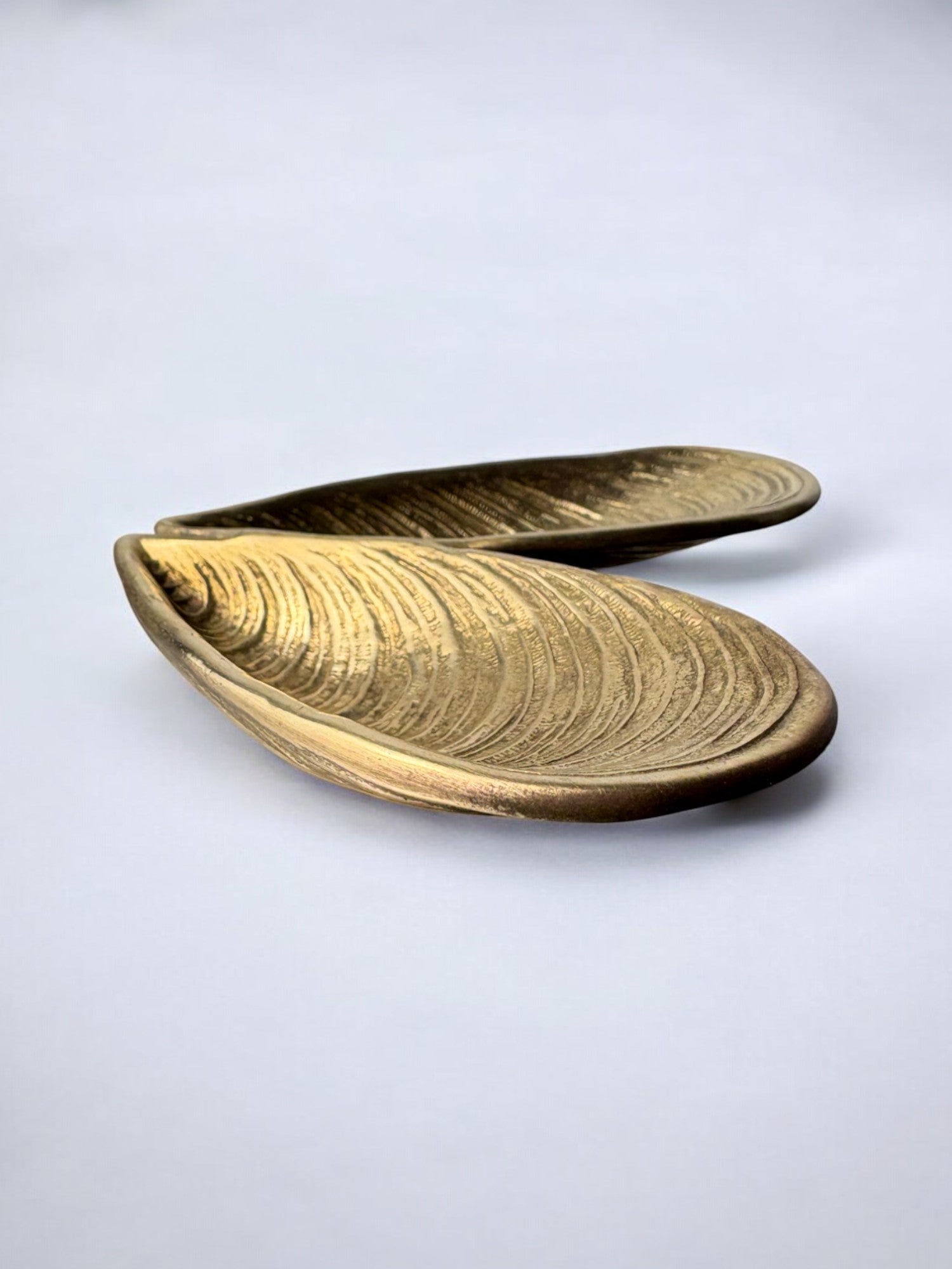 Mussel Shell Vide-Poches in bronze, Italy, 1970's
