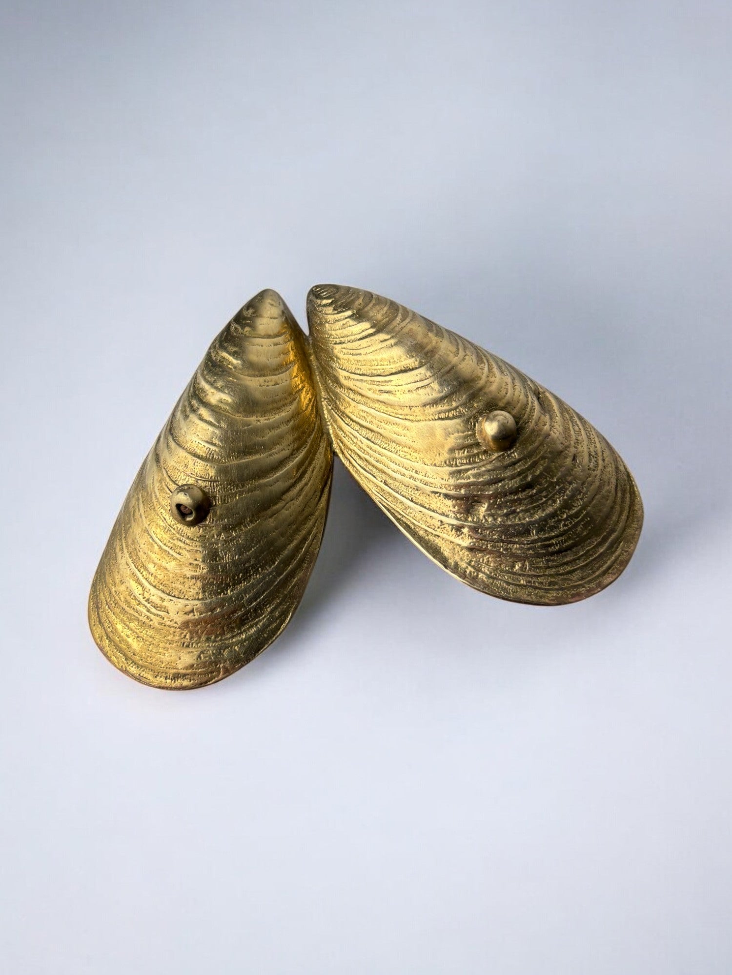 Mussel Shell Vide-Poches in bronze, Italy, 1970's