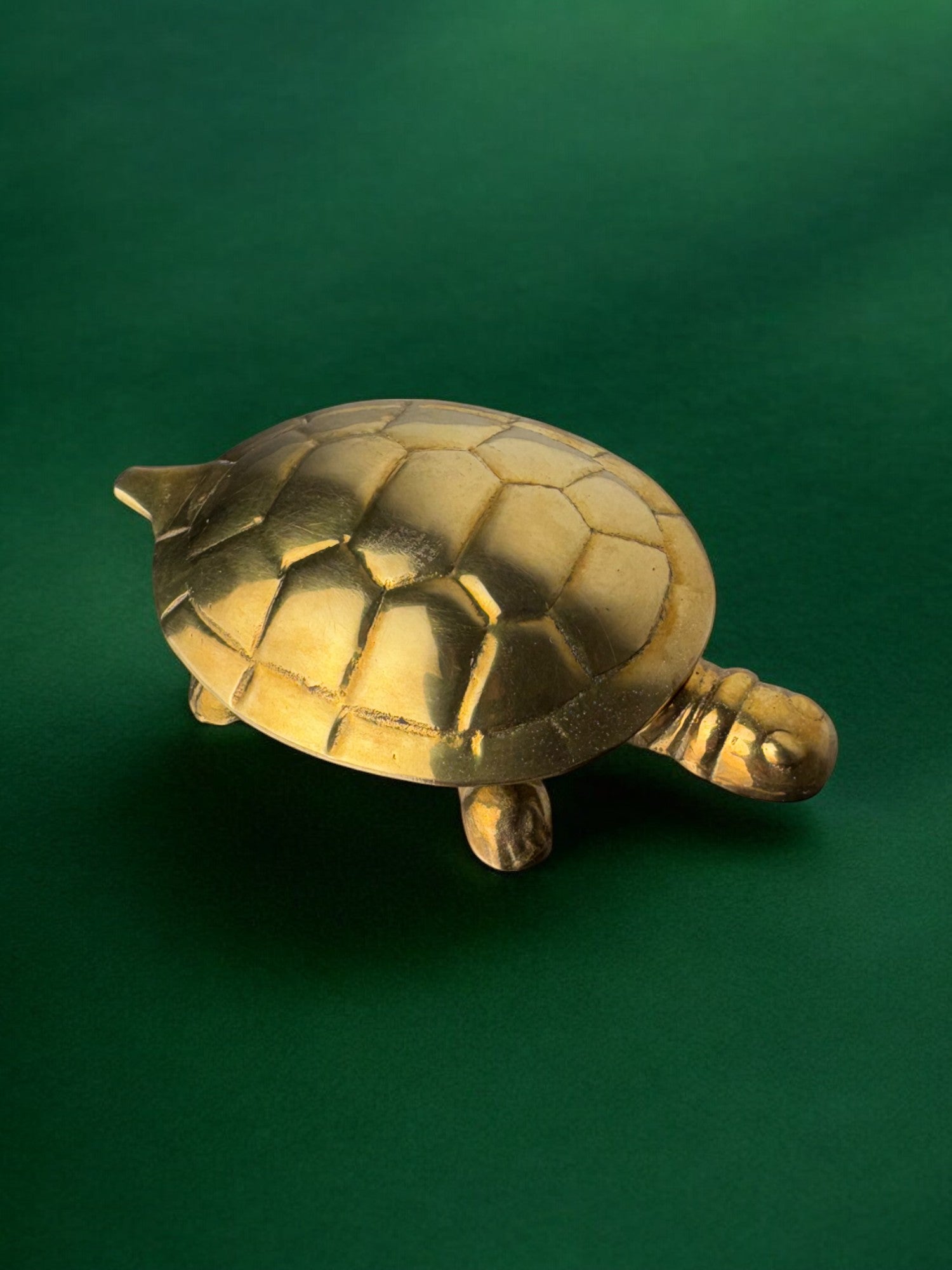 Regency turtle jewelry box in brass, Italy, 1970's