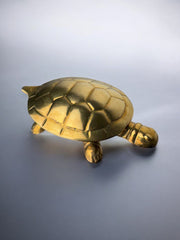 Regency turtle jewelry box in brass, Italy, 1970's