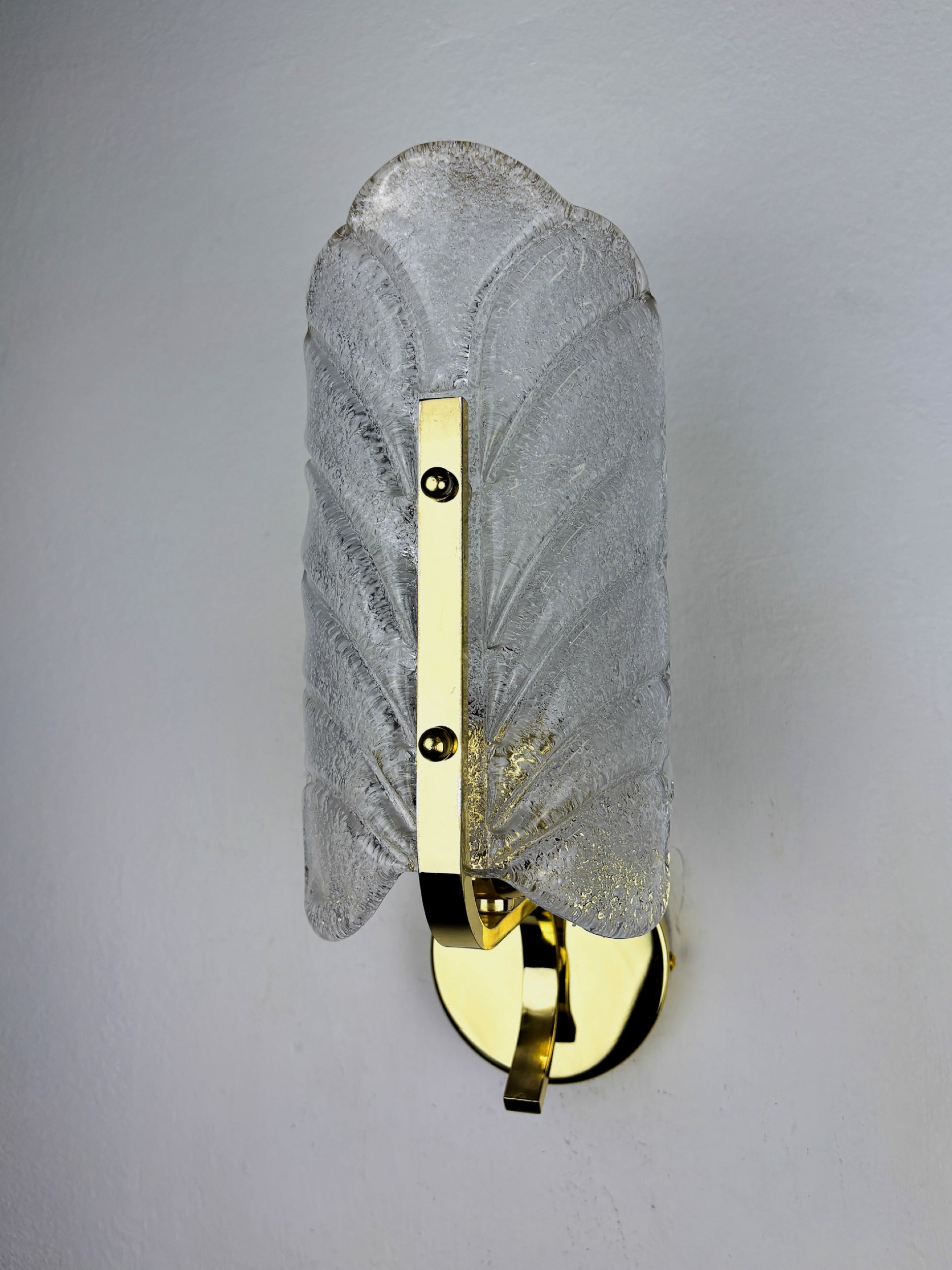 Mid-century Frosted Leaf Sconce, Textured Murano glass & Gilt Details, Circa 1960's