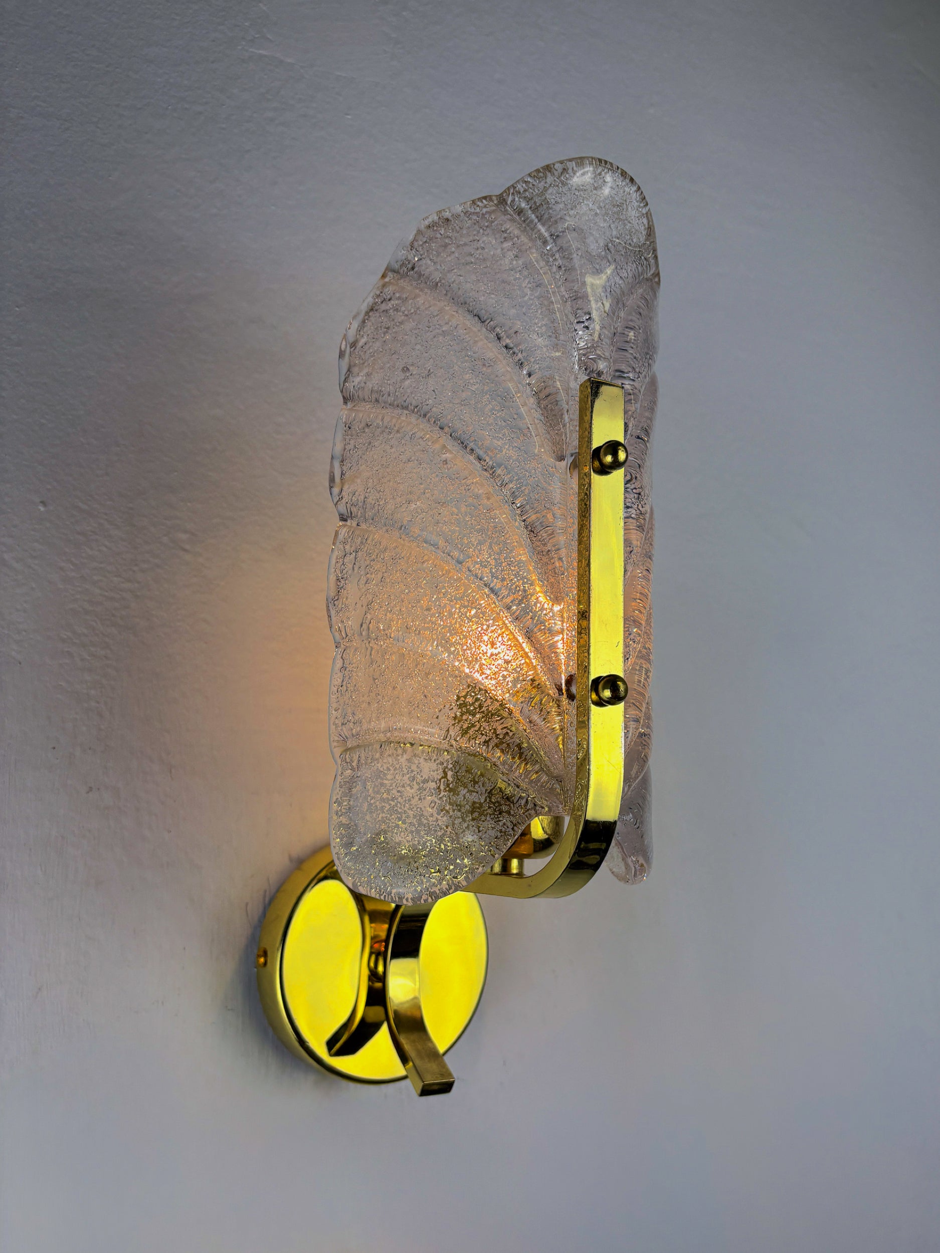 Mid-century Frosted Leaf Sconce, Textured Murano glass & Gilt Details, Circa 1960's