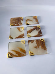 Aldo Tura Style Coasters in lucite with dry leaves, set of 6, Italy, 1970's