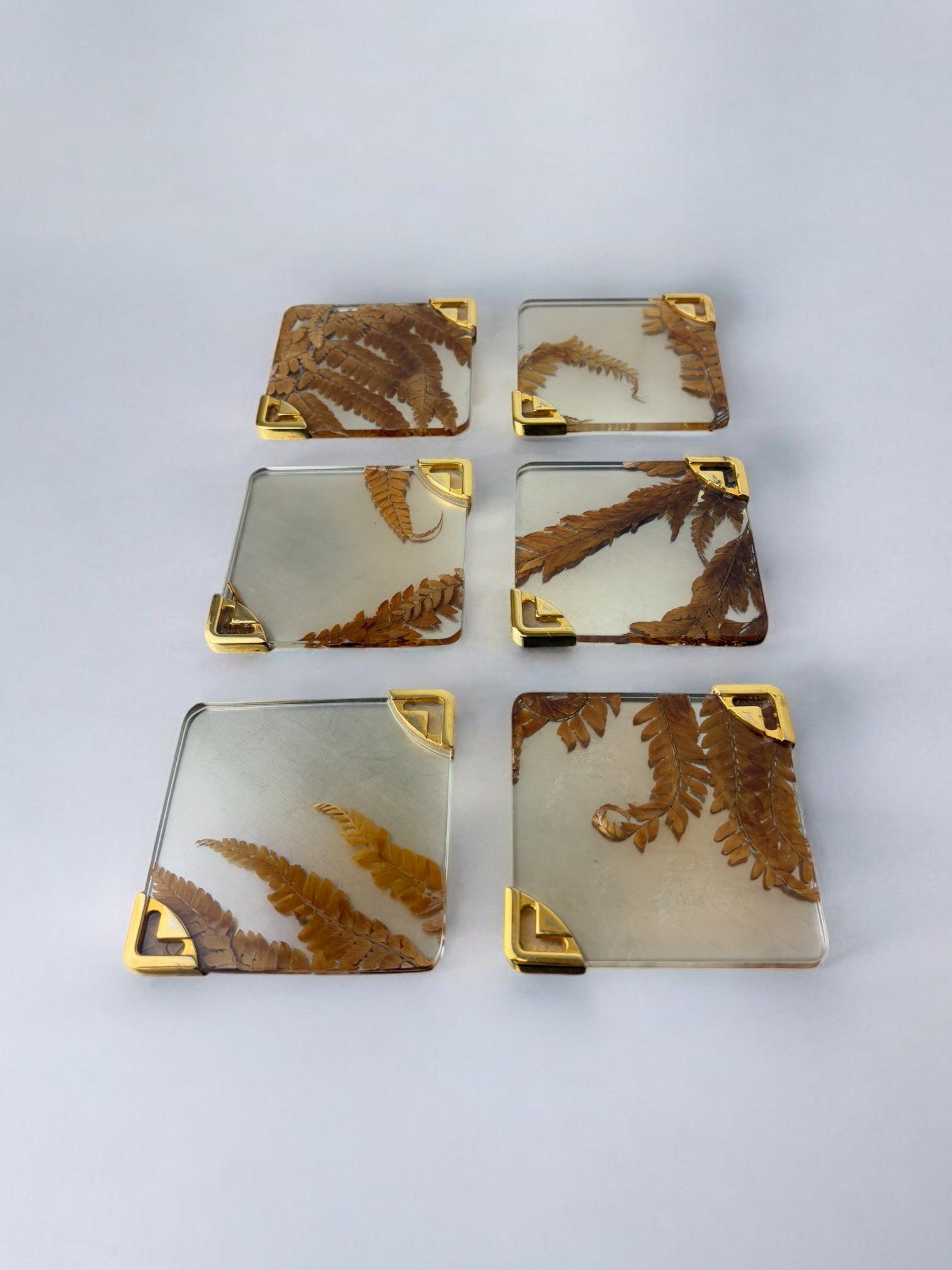 Aldo Tura Style Coasters in lucite with dry leaves, set of 6, Italy, 1970's