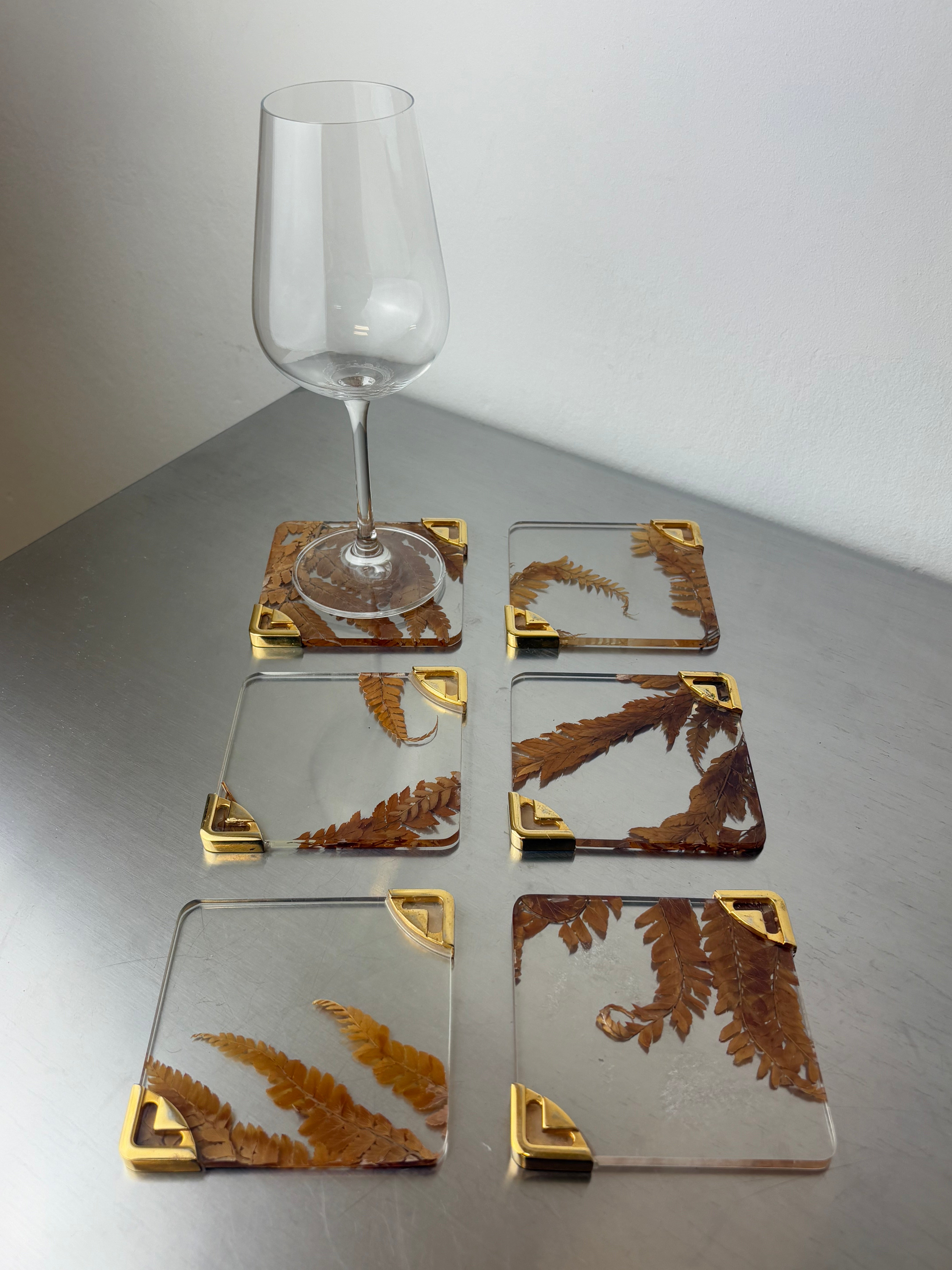 Aldo Tura Style Coasters in lucite with dry leaves, set of 6, Italy, 1970's