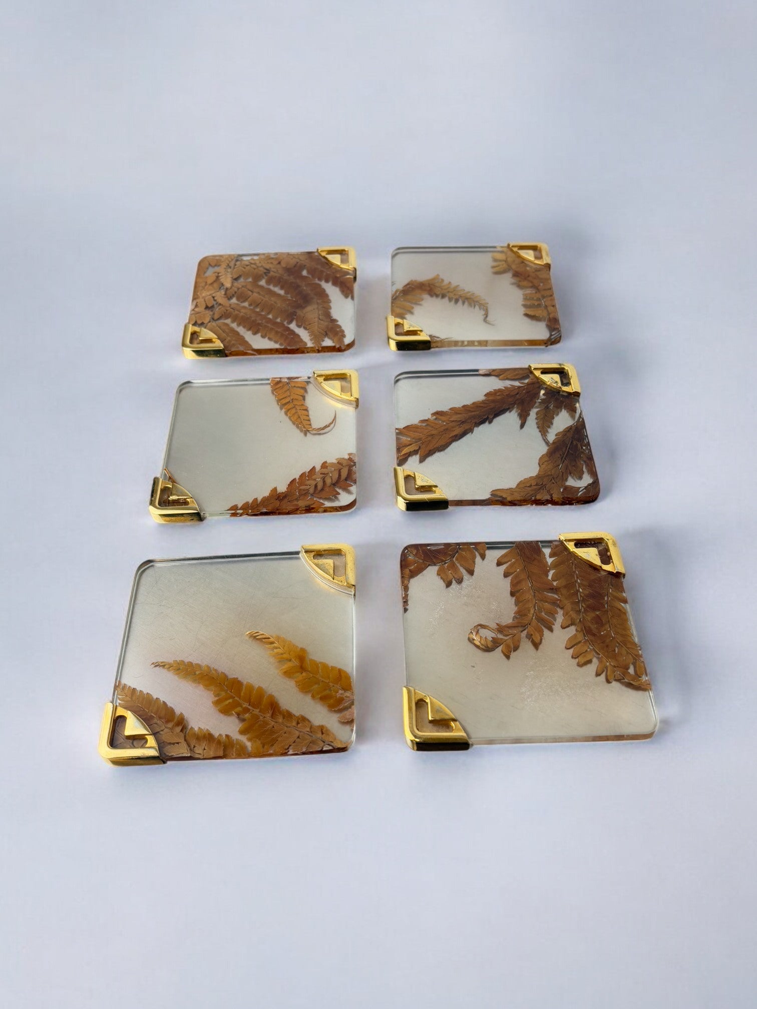 Aldo Tura Style Coasters in lucite with dry leaves, set of 6, Italy, 1970's