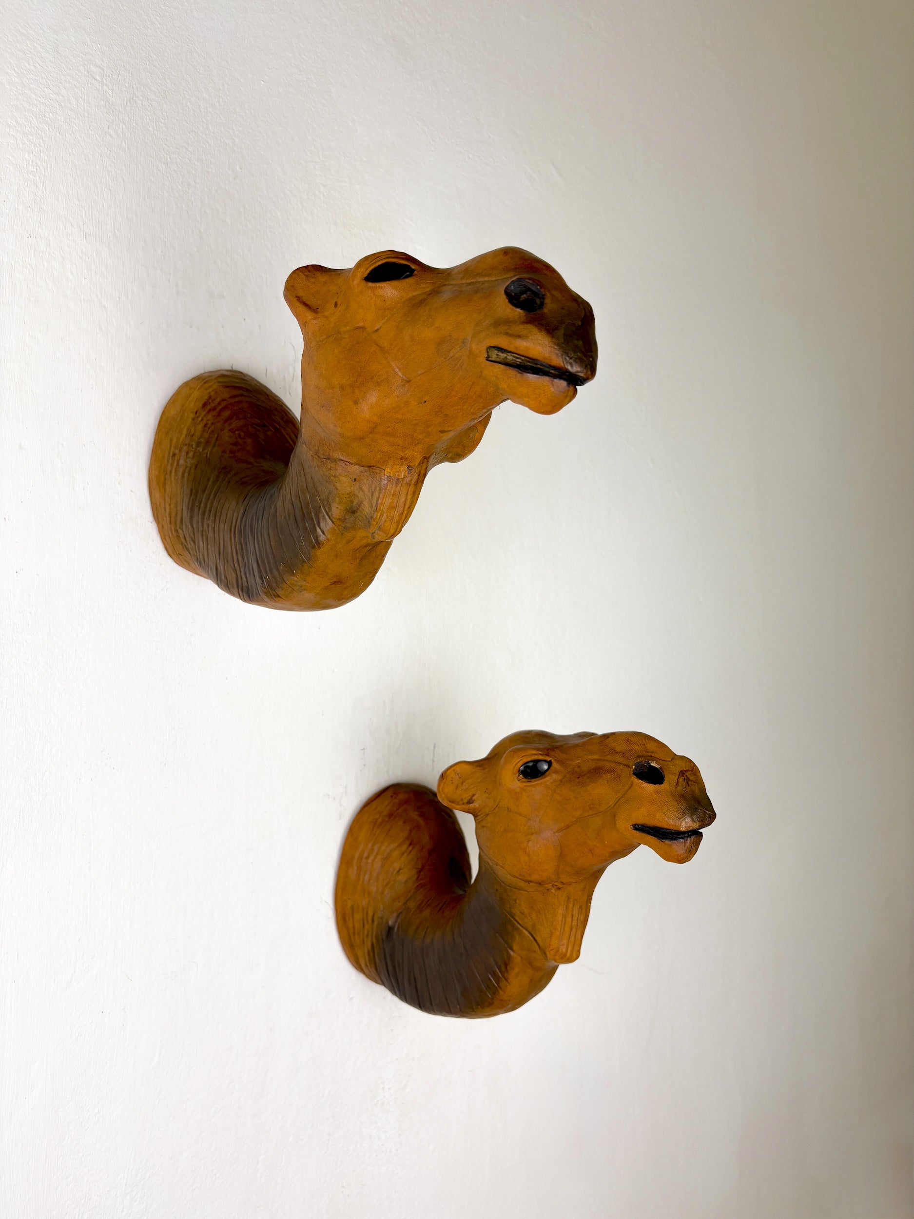 Pair of Leather Camel Head Coat Hooks, Italy, 1960s