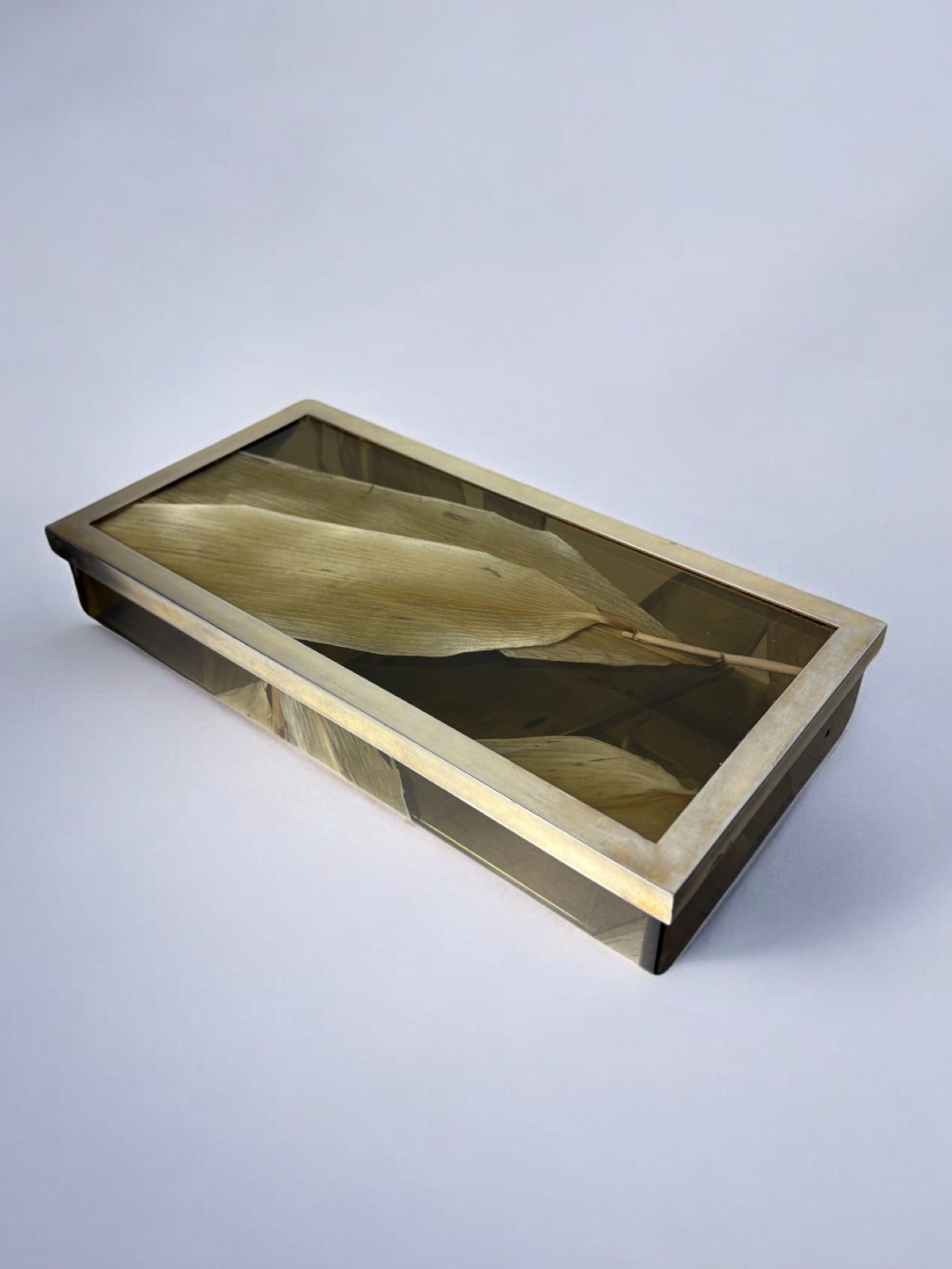 Aldo Tura Style vanity Box in lucite with dry tabaco leaves, 1970's