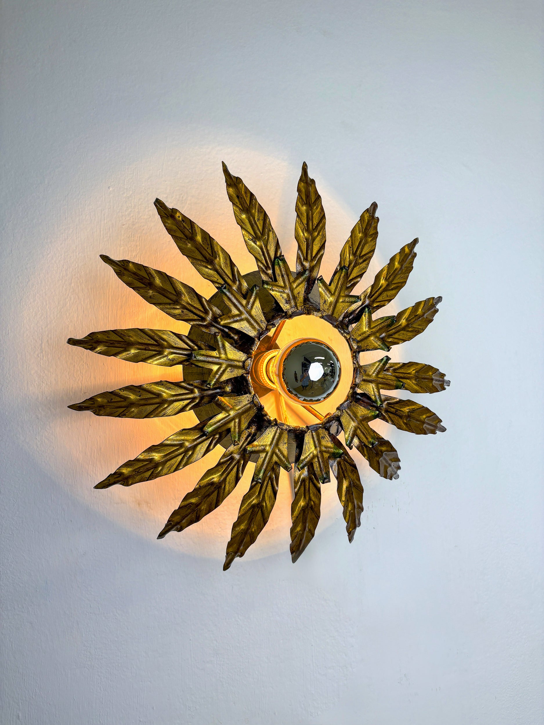 Sunburst Foliage Floral Ceiling Light or wall light, France, 1970's