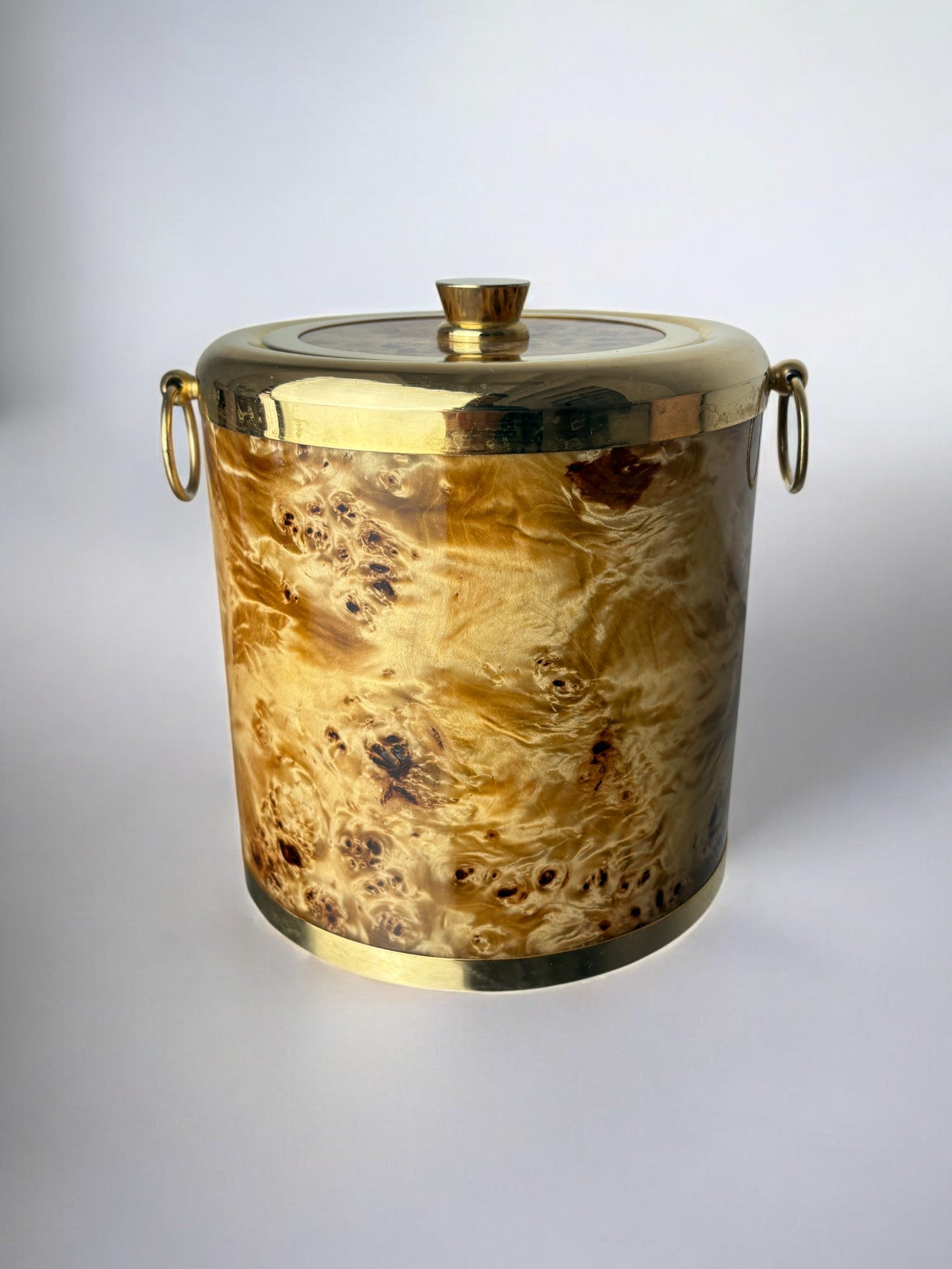 Lucite burl wood & Brass Ice Bucket with tongs, Italy, 1970s