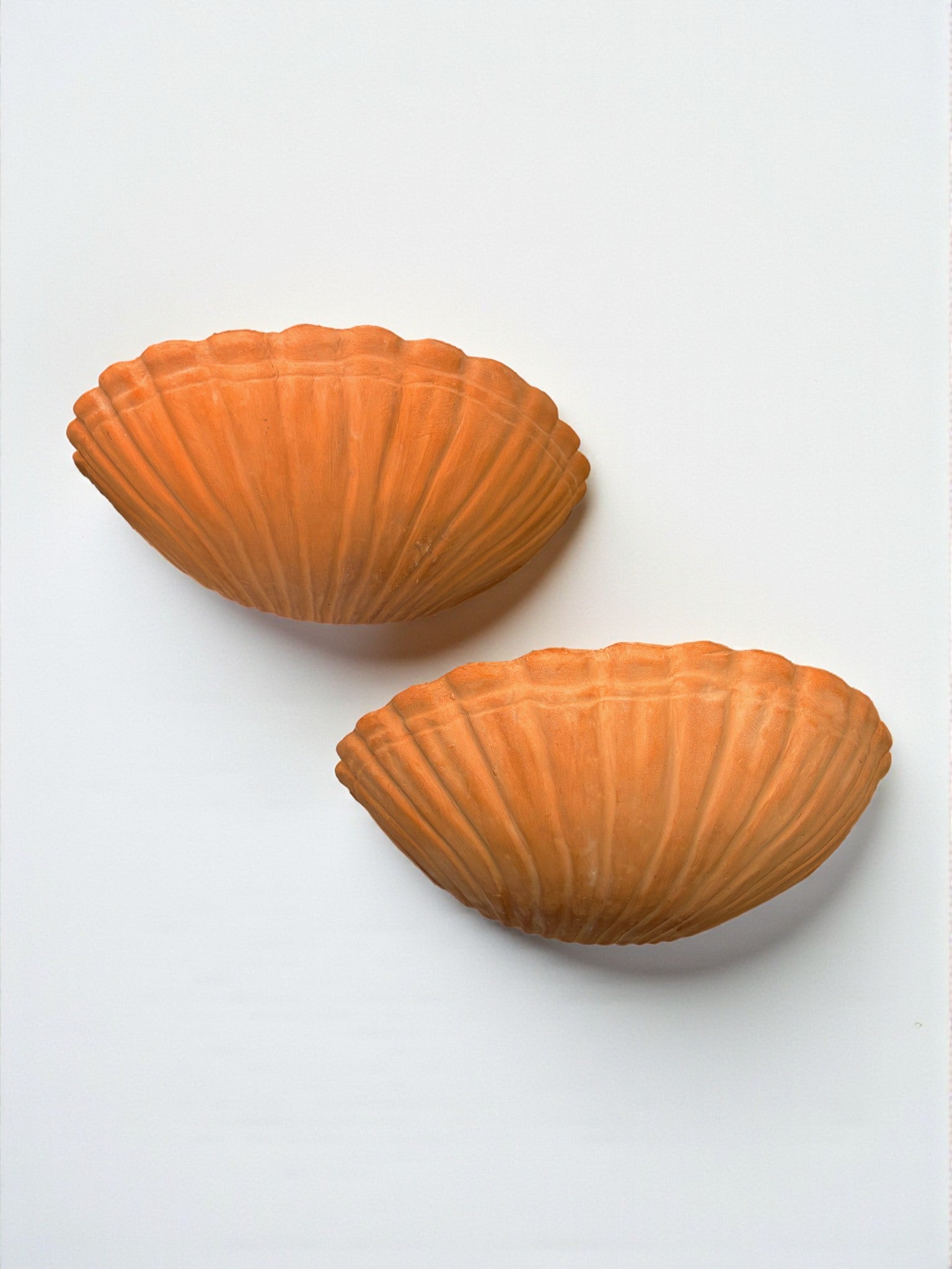 Pair of vintage italian Shell Wall sconces, large terracota sculptures, 1980's