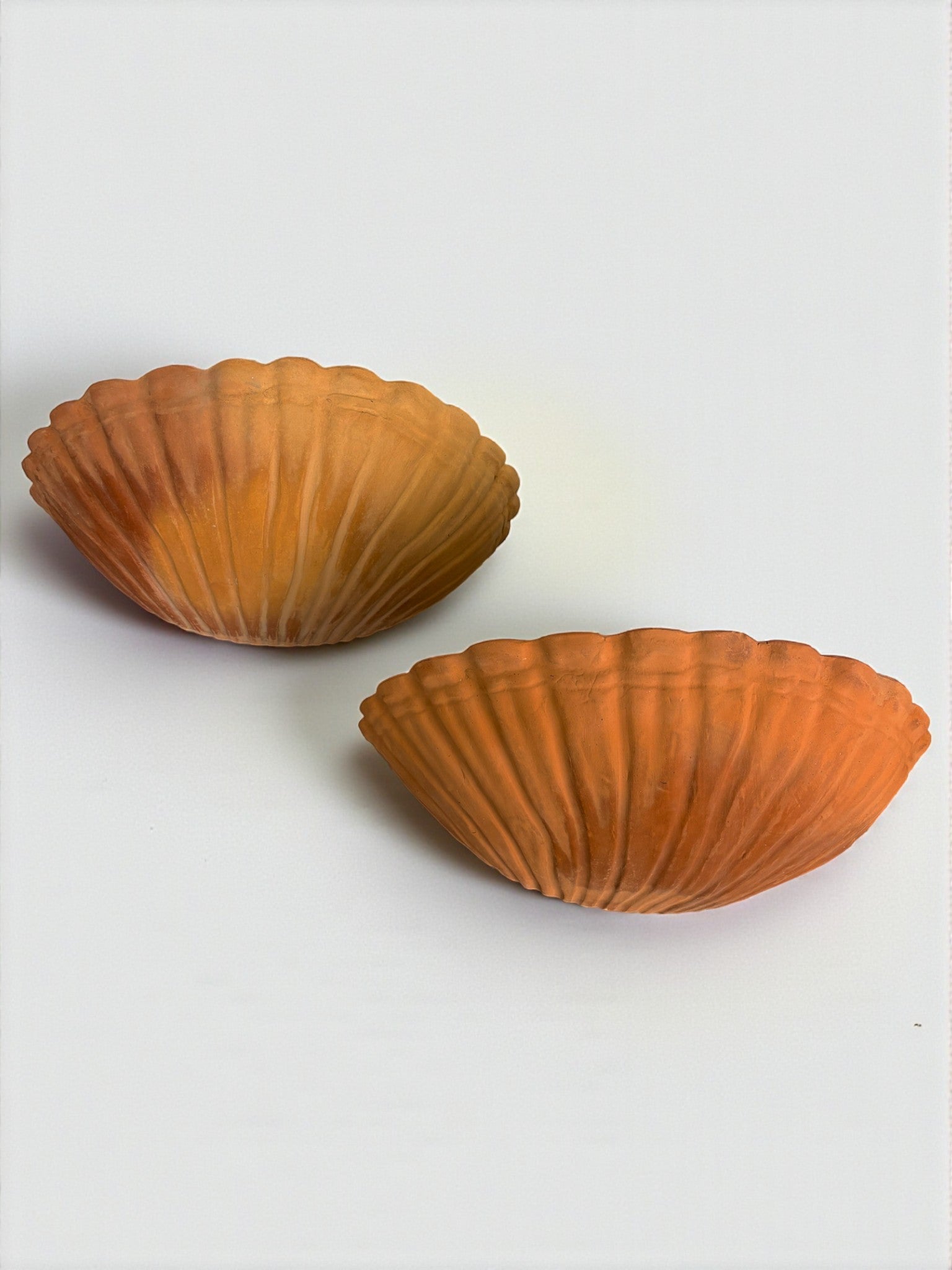 Pair of vintage italian Shell Wall sconces, large terracota sculptures, Circa 1980's
