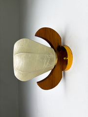 Pear-shaped "Cocoon" wall sconce, resin and pine wood, Italy, 1970's