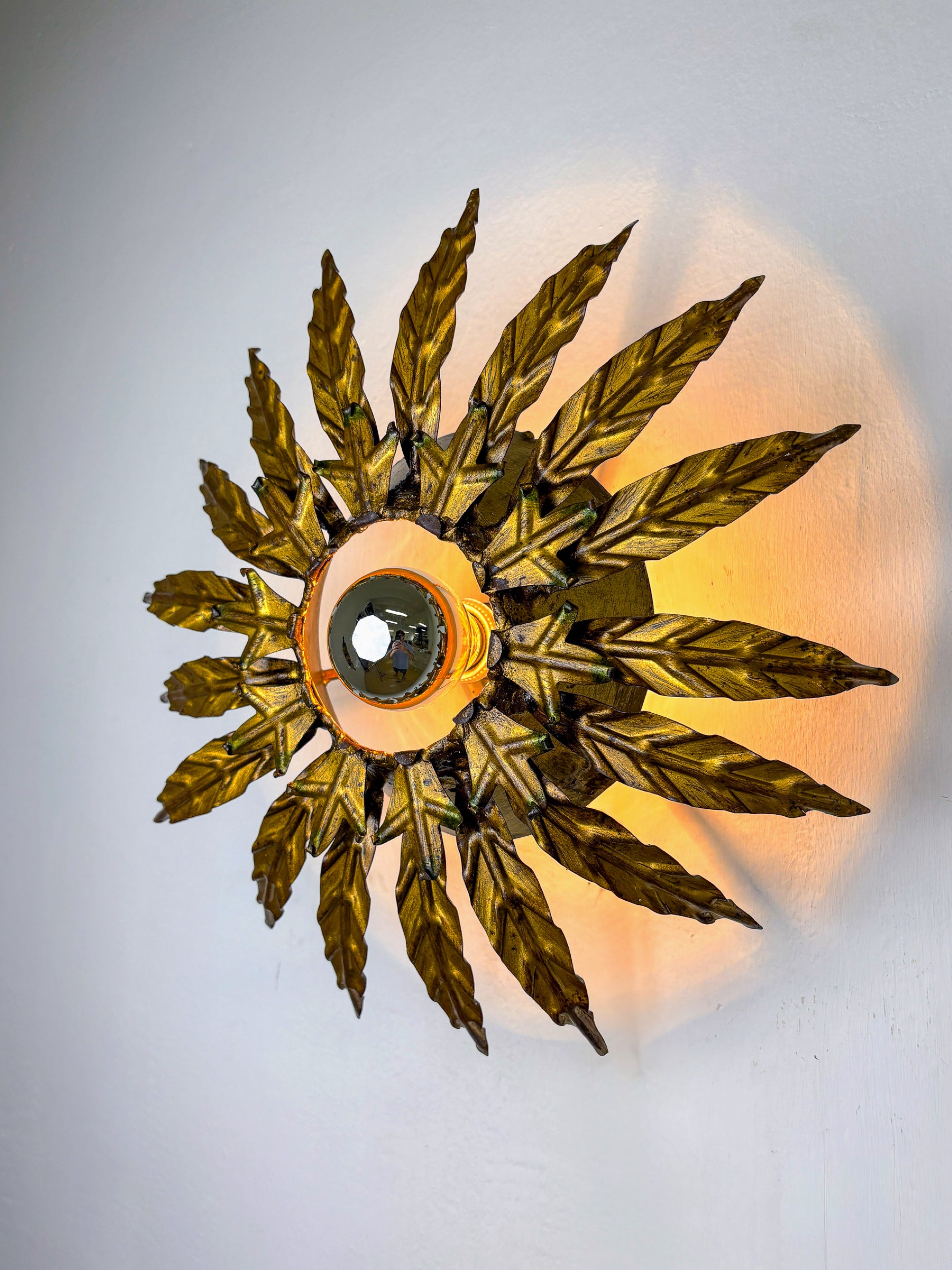 Sunburst Foliage Floral Ceiling Light or wall light, France, 1970's