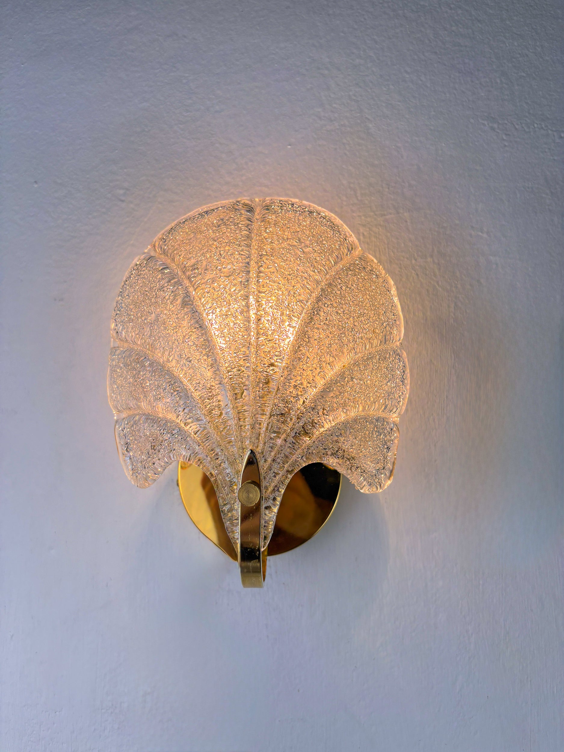 Shell Wall Light, Frosted Murano Glass, Italy, 1980s