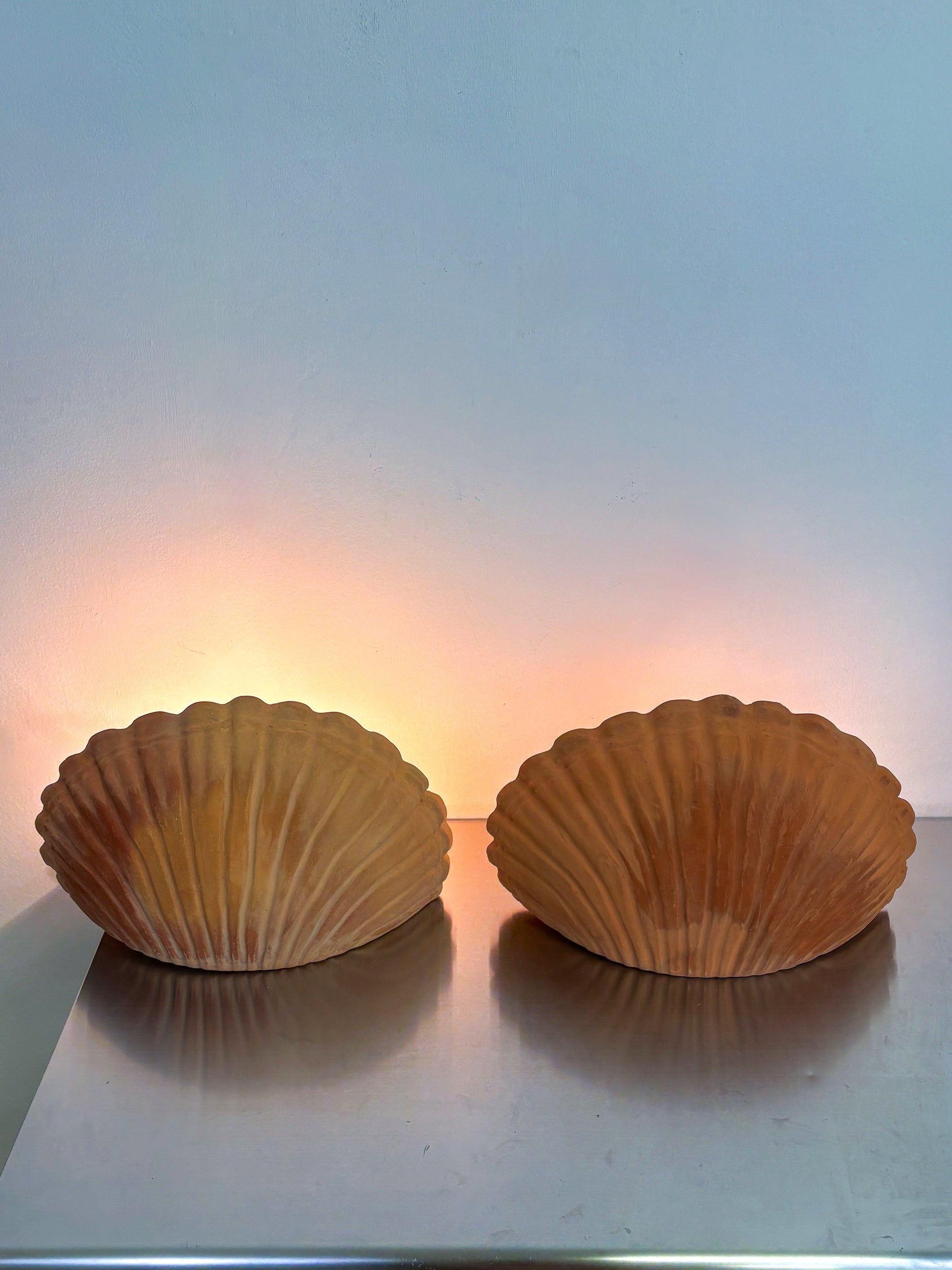 Pair of vintage italian Shell Wall sconces, large terracota sculptures, Circa 1980's