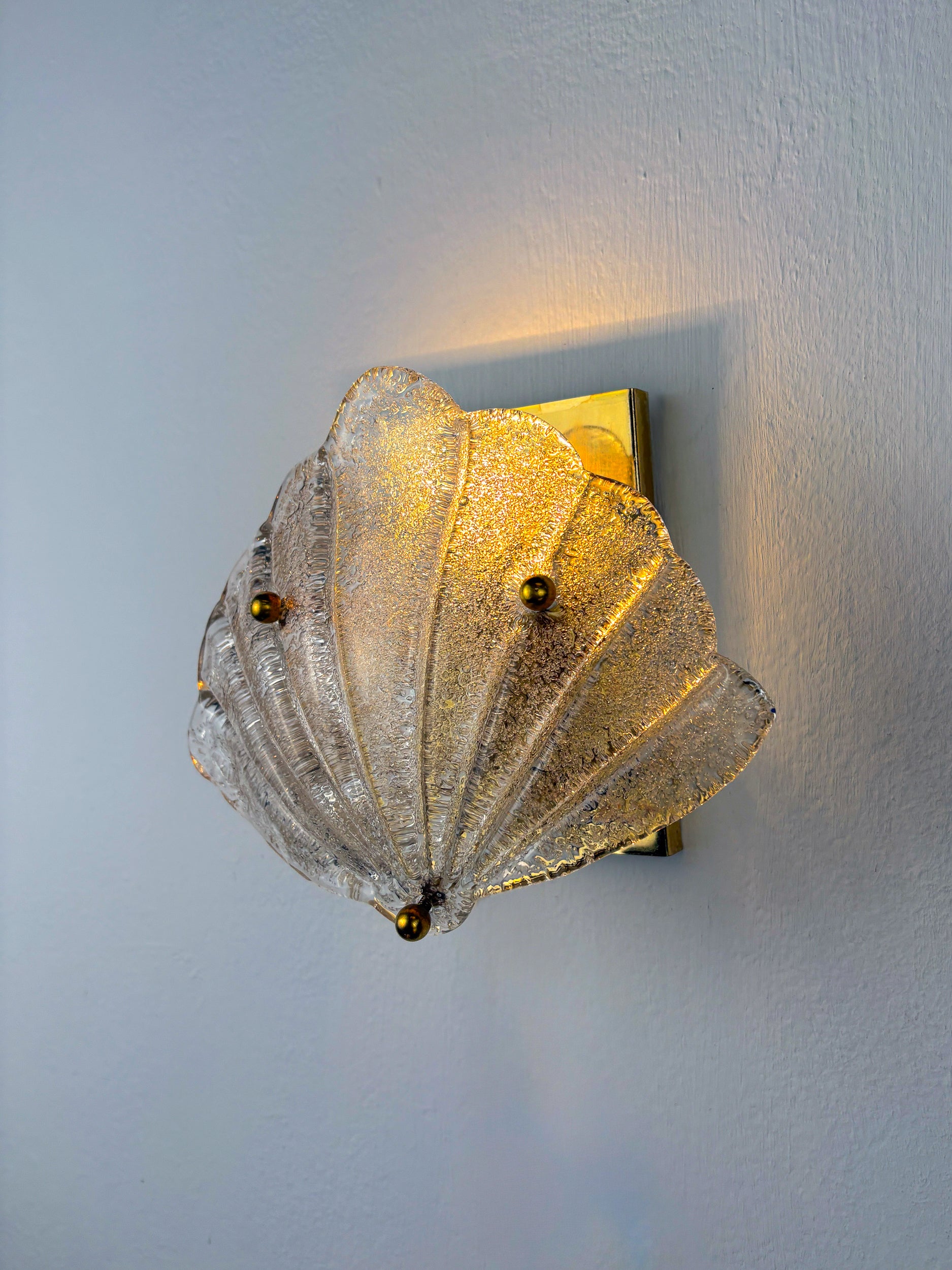 Shell-shaped Frosted Murano Glass Wall Sconce, Italy, 1970's