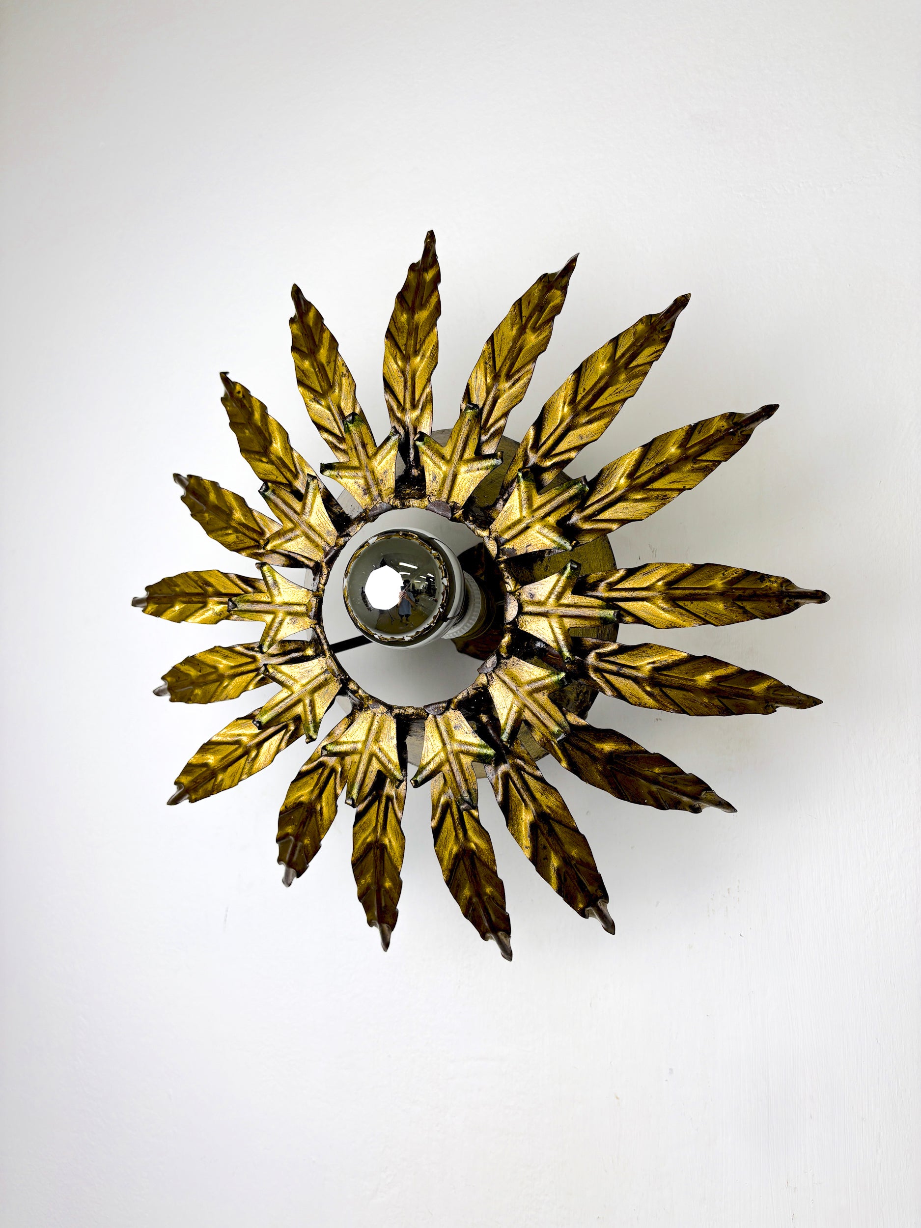 Sunburst Foliage Floral Ceiling Light or wall light, France, 1970's