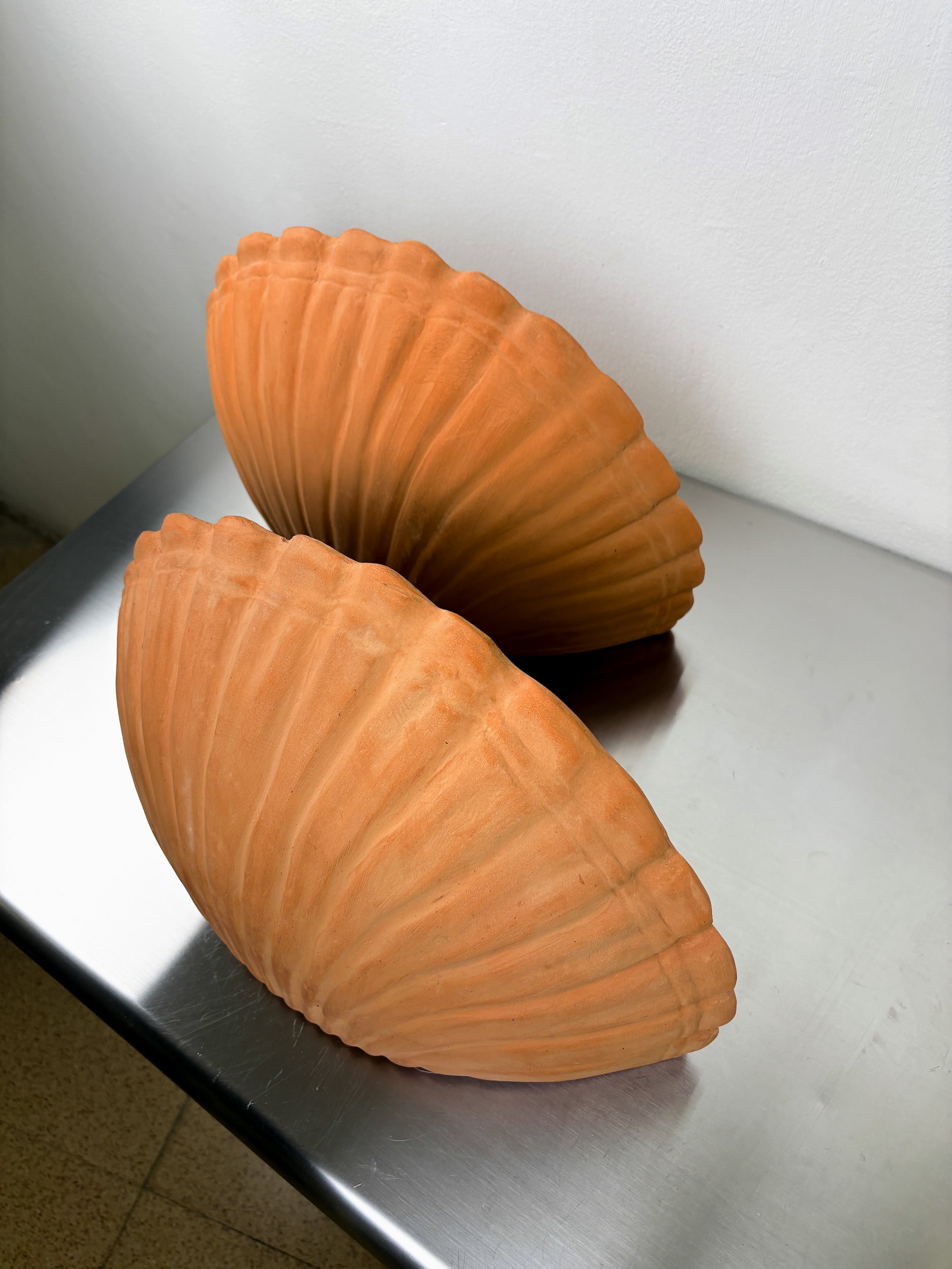 Pair of vintage italian Shell Wall sconces, large terracota sculptures, 1980's